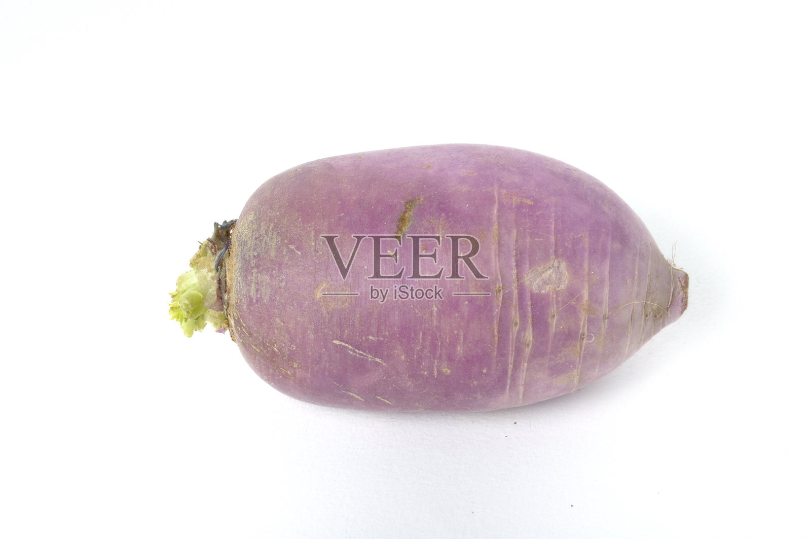 白底冬萝卜照片摄影图片