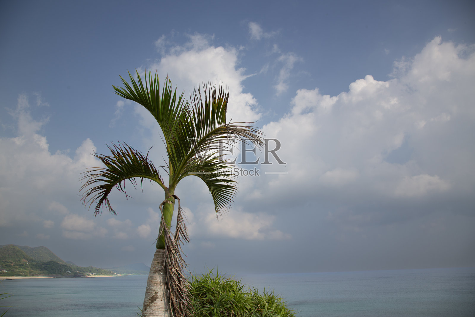 奄美大岛的创意自然：夏日海洋与天空照片摄影图片