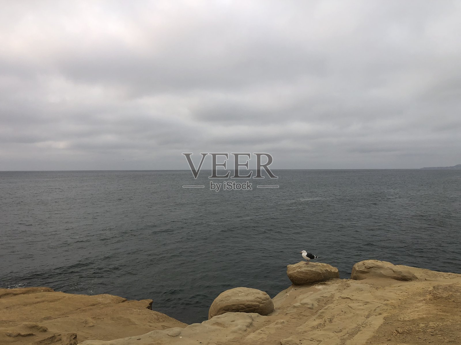 夕阳下的海景，有云彩和一只鸟在岸边的岩石上休息照片摄影图片