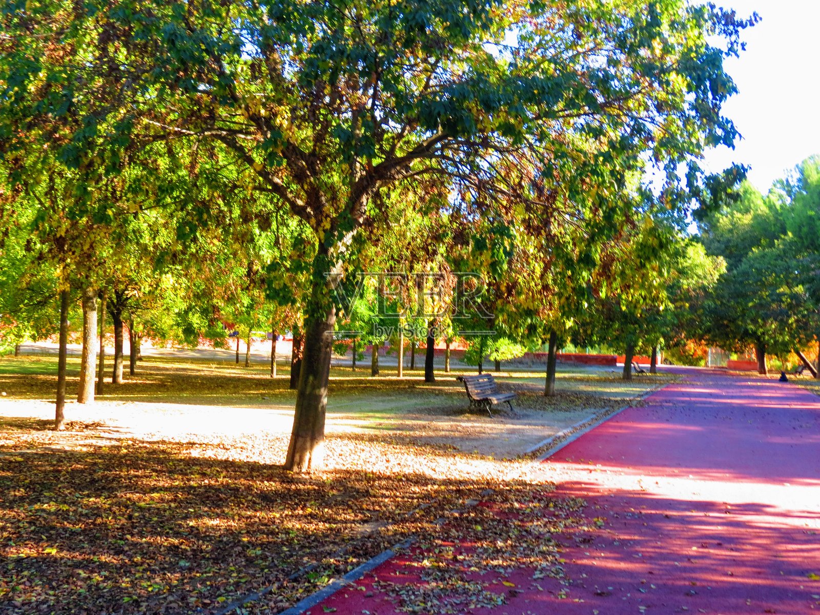 秋季风景。多彩的秋季背景。照片摄影图片