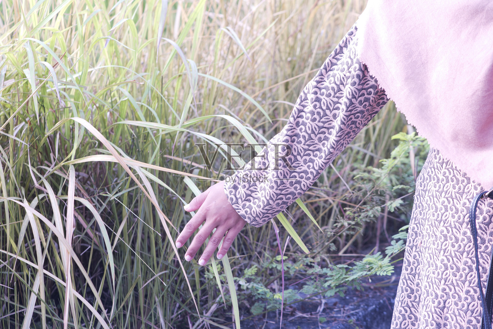 杂草丛中一只女性的手的特写照片摄影图片