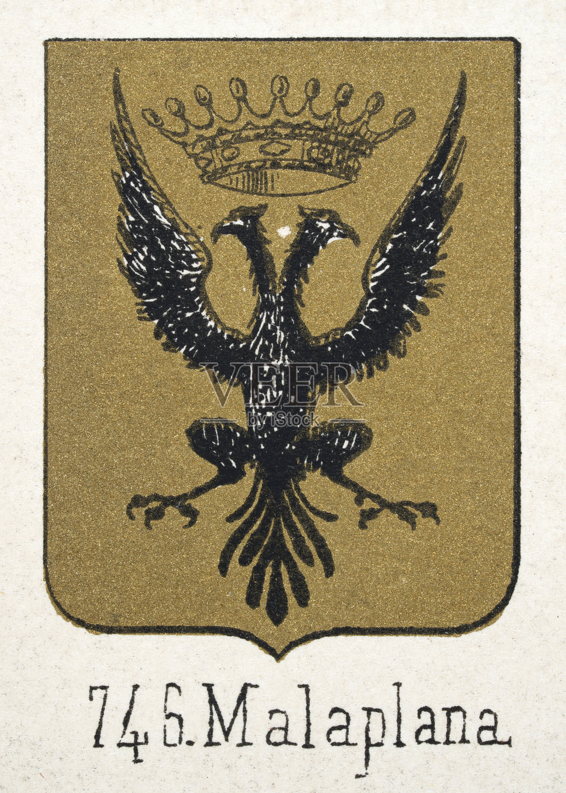 中世纪纹章，纹徽，带双头黑鹰的盾牌，展开翅膀，皇冠，金色，西班牙，复古插画插画图片素材