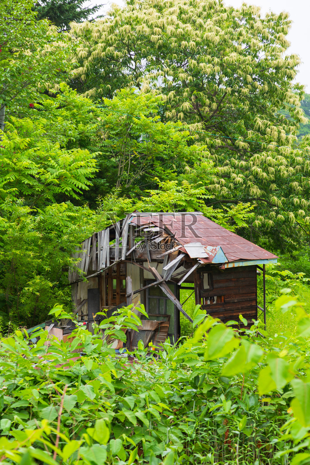 废弃的房子照片摄影图片