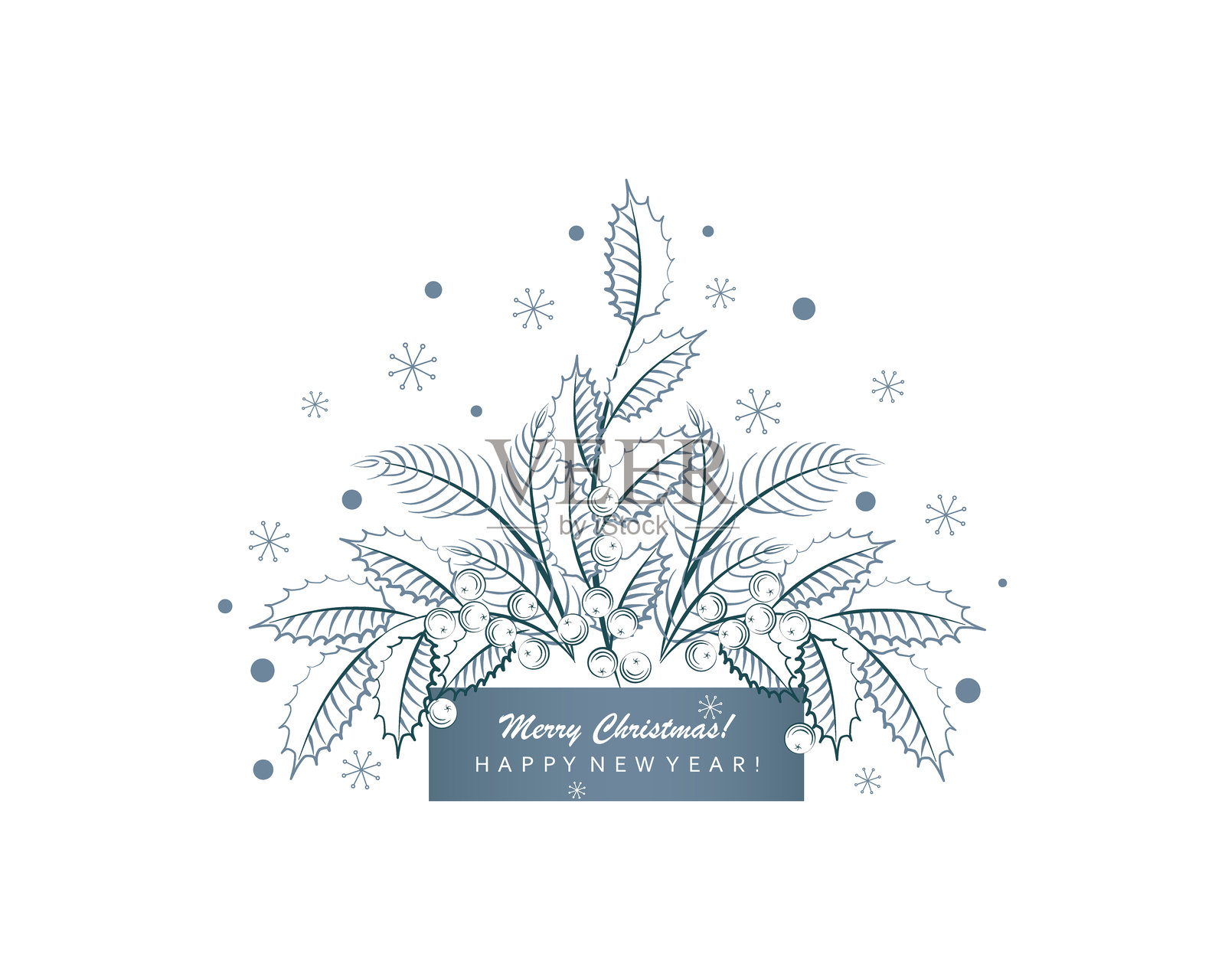 冬青枝，松树。圣诞祝福。圣诞快乐，新年快乐。插画图片素材