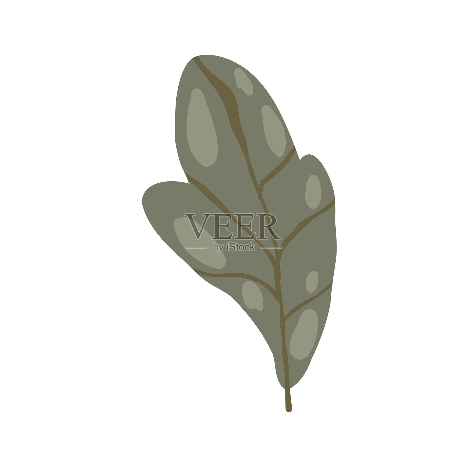 波西米亚风格植物插画，包含风格化的花卉和叶子，手绘插画插画图片素材