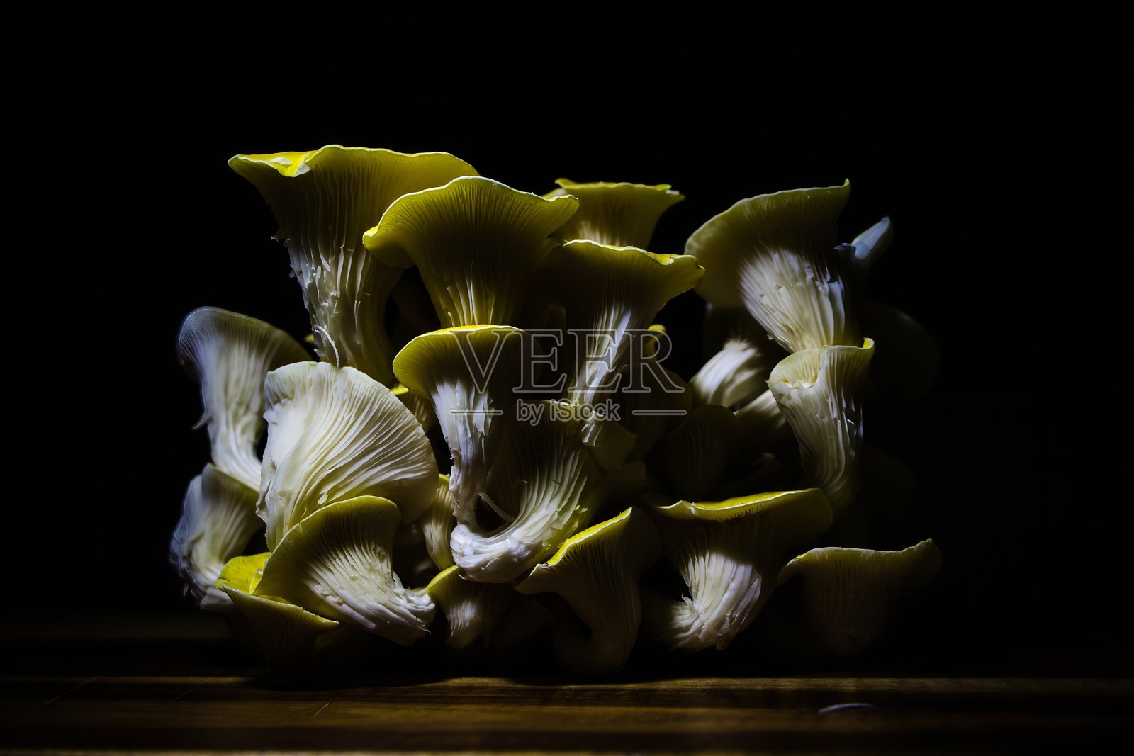 牡蛎蘑菇照片摄影图片