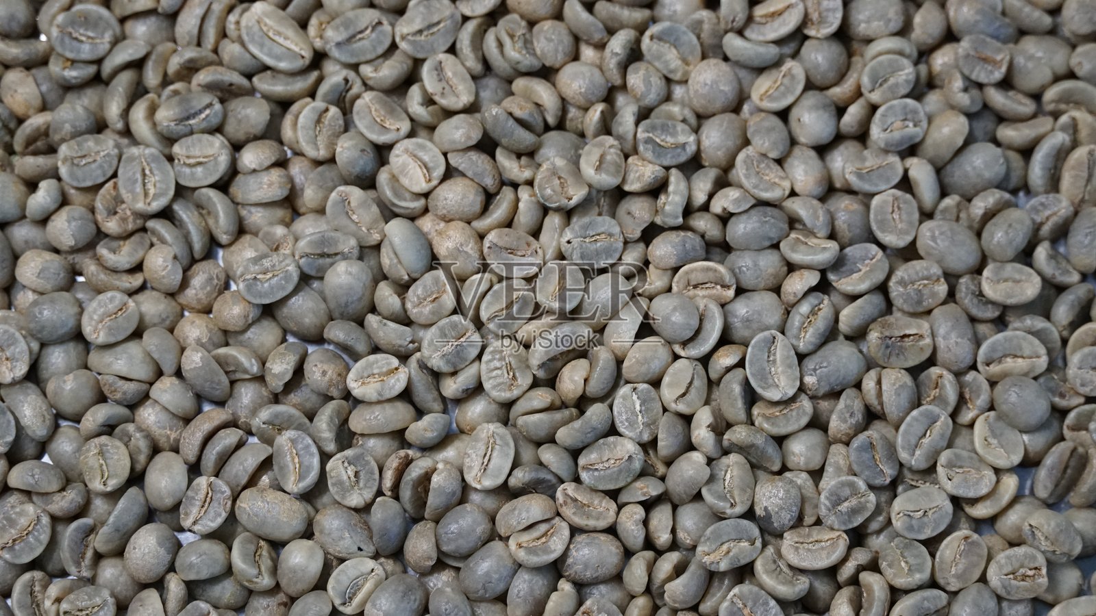 牙买加蓝山咖啡豆——从生豆到完美烘焙照片摄影图片