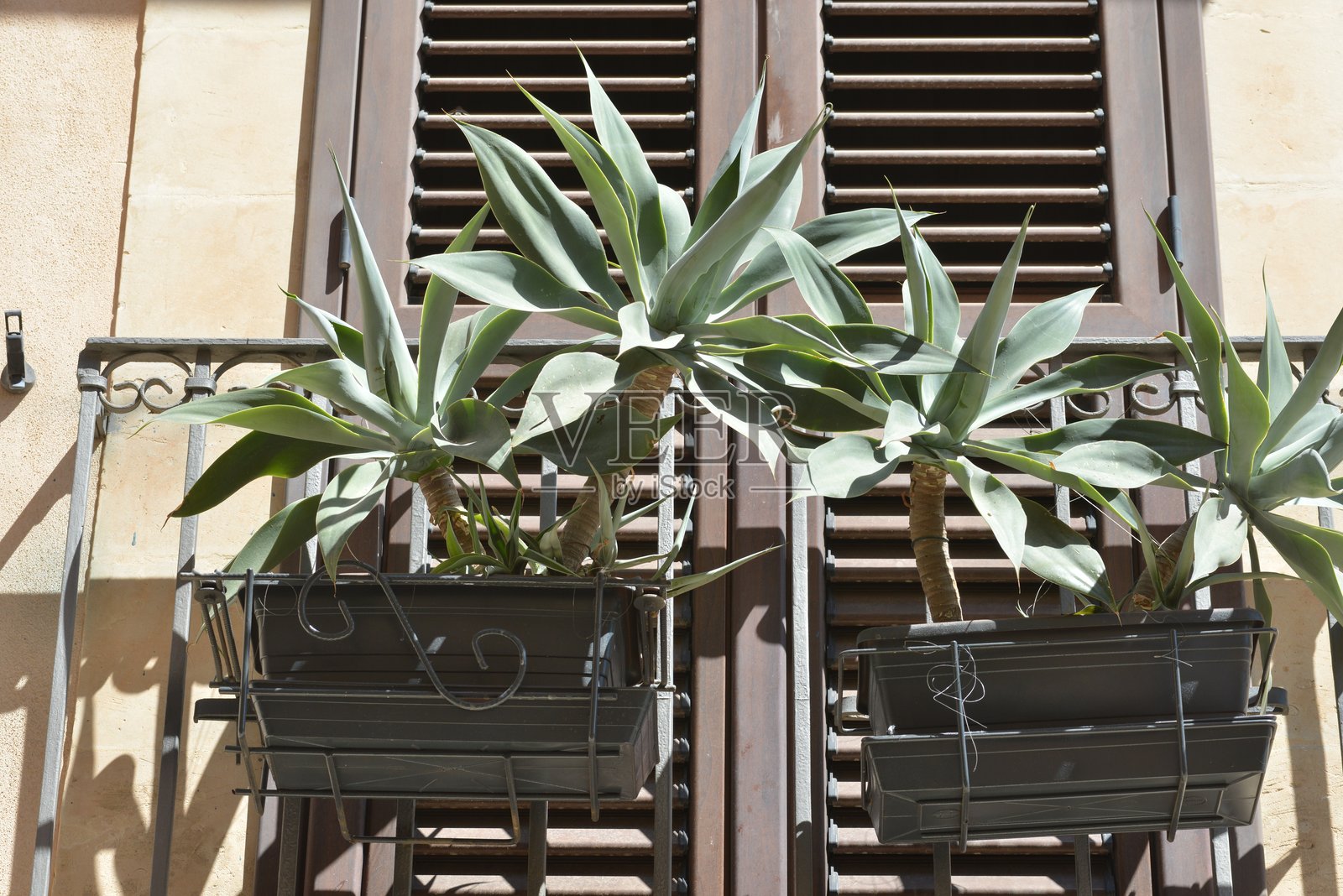 Noto, Sicily照片摄影图片