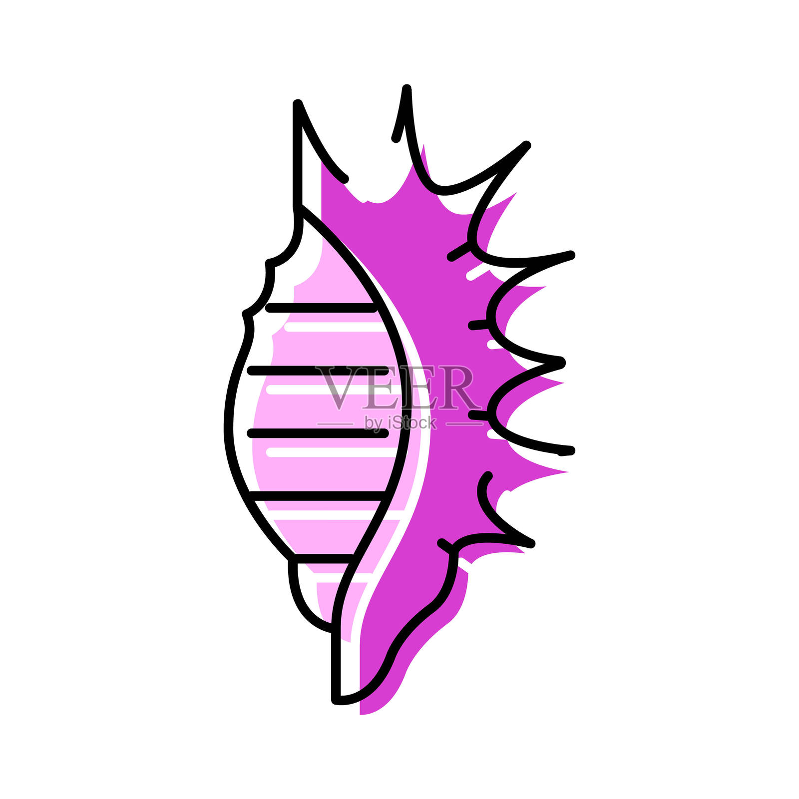 装饰性海螺矢量图标，描绘了海洋生物元素插画图片素材