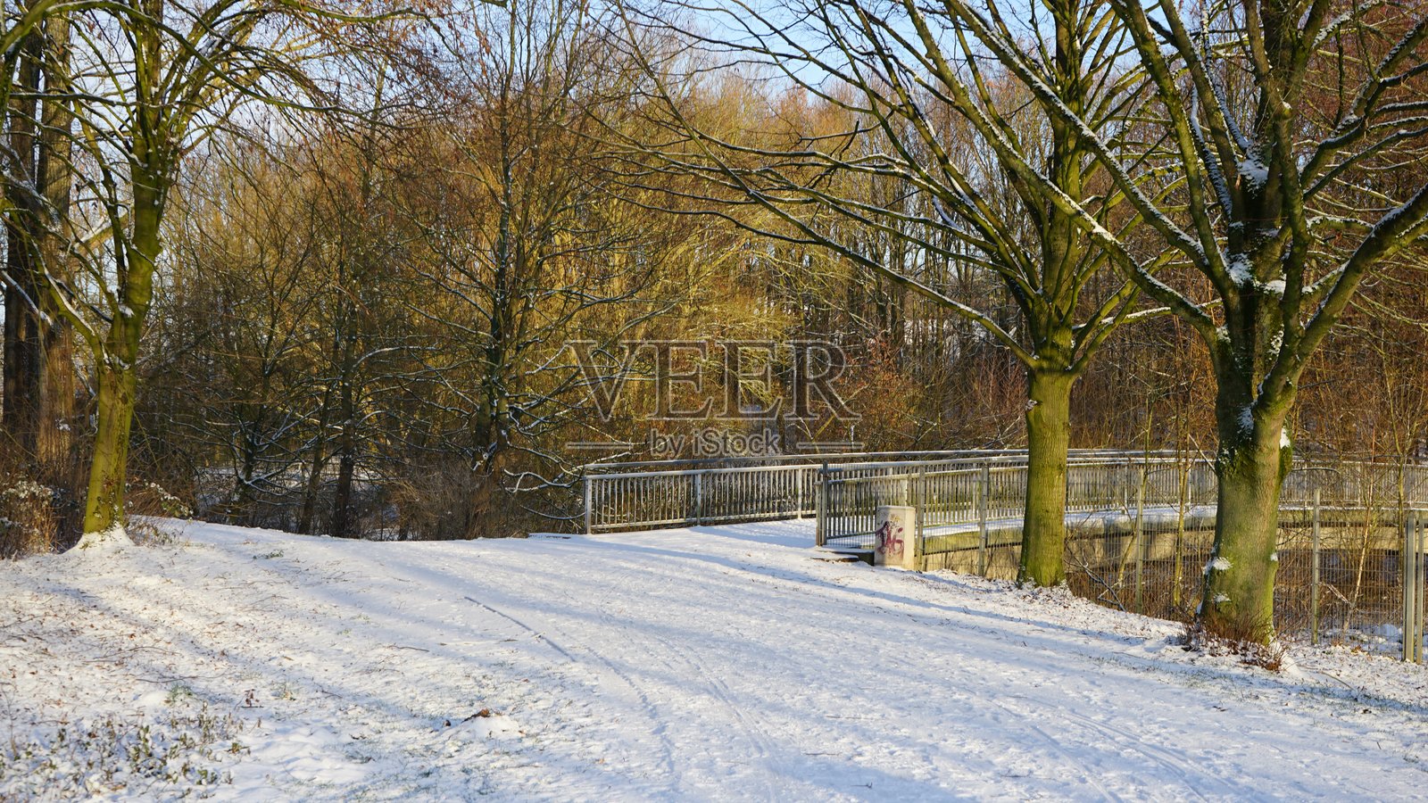 雪景照片摄影图片