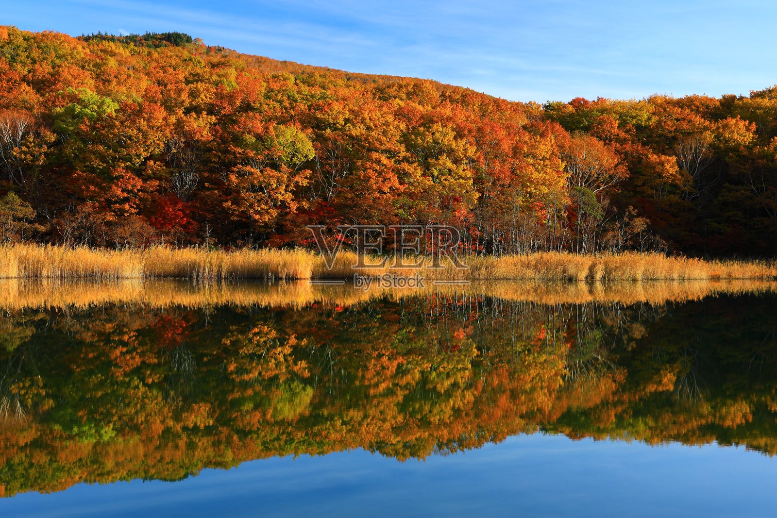 秋叶风光照片摄影图片