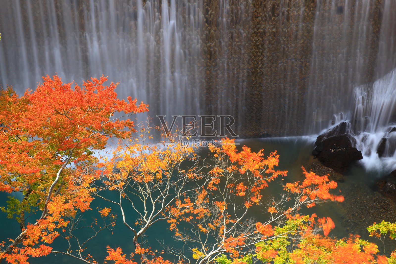 秋叶景色照片摄影图片