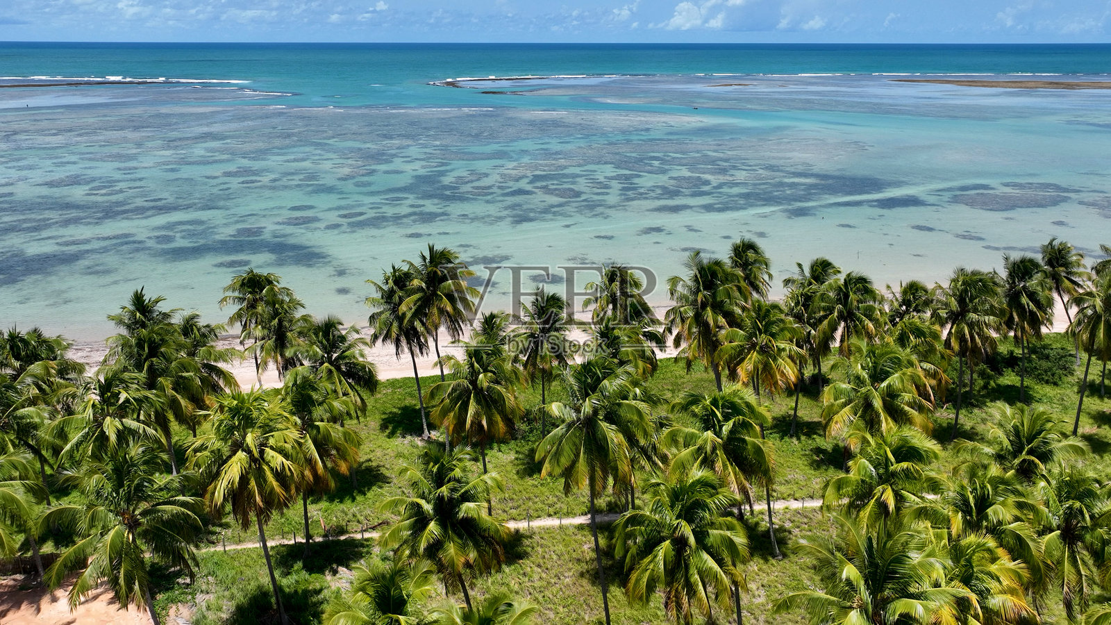 巴西阿拉戈斯州圣米格尔杜斯米拉格雷斯帕塔乔海滩。照片摄影图片