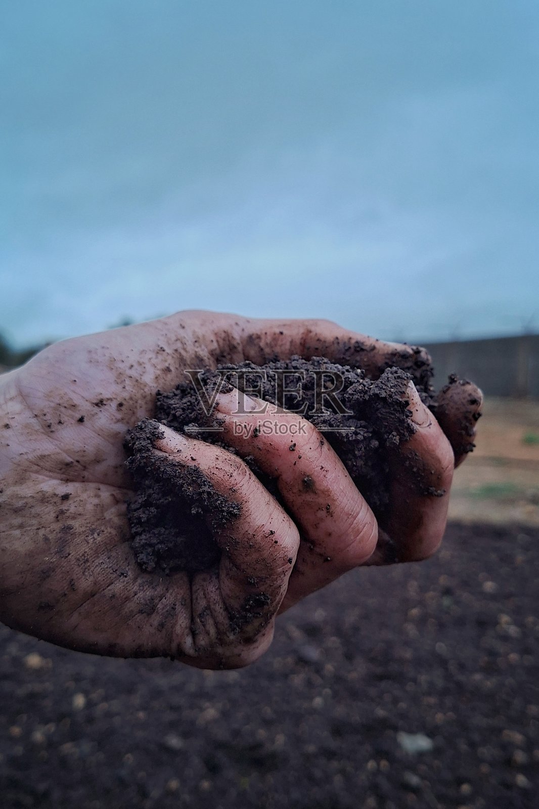 一只手轻轻握着土壤，背景是阴沉的天空照片摄影图片
