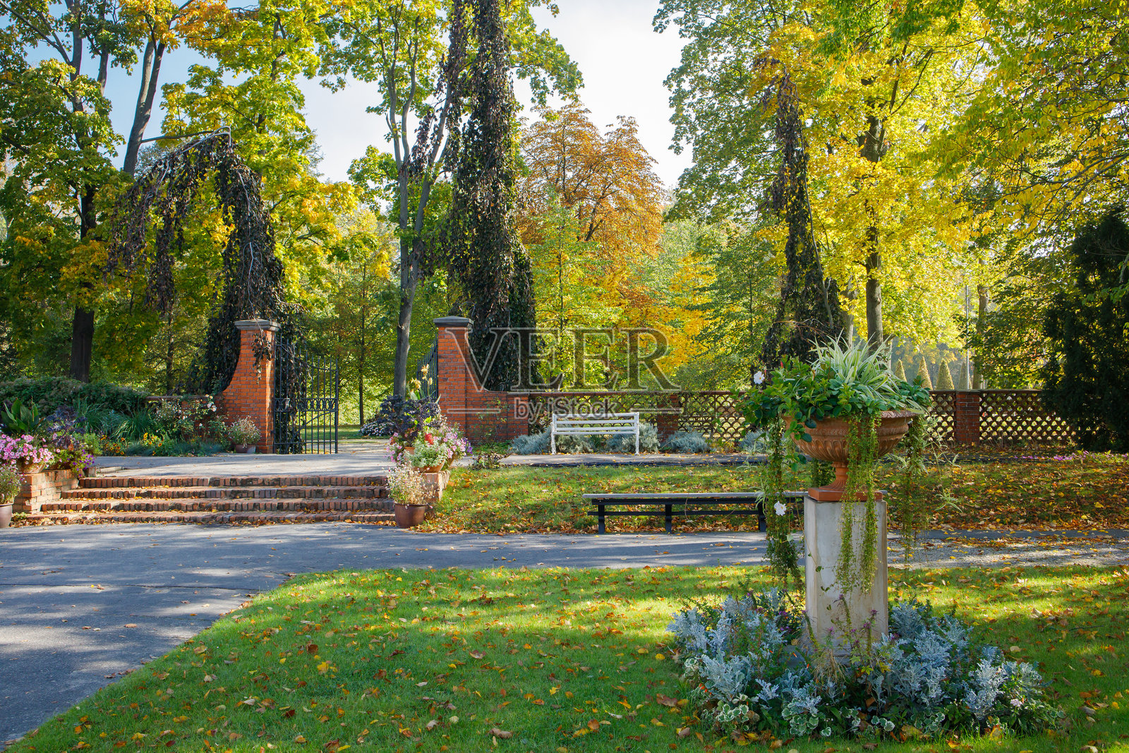 波兰华沙维拉诺夫公园阳光灿烂的金秋。秋日里的波兰皇家宅邸公园，露天博物馆，无人。照片摄影图片