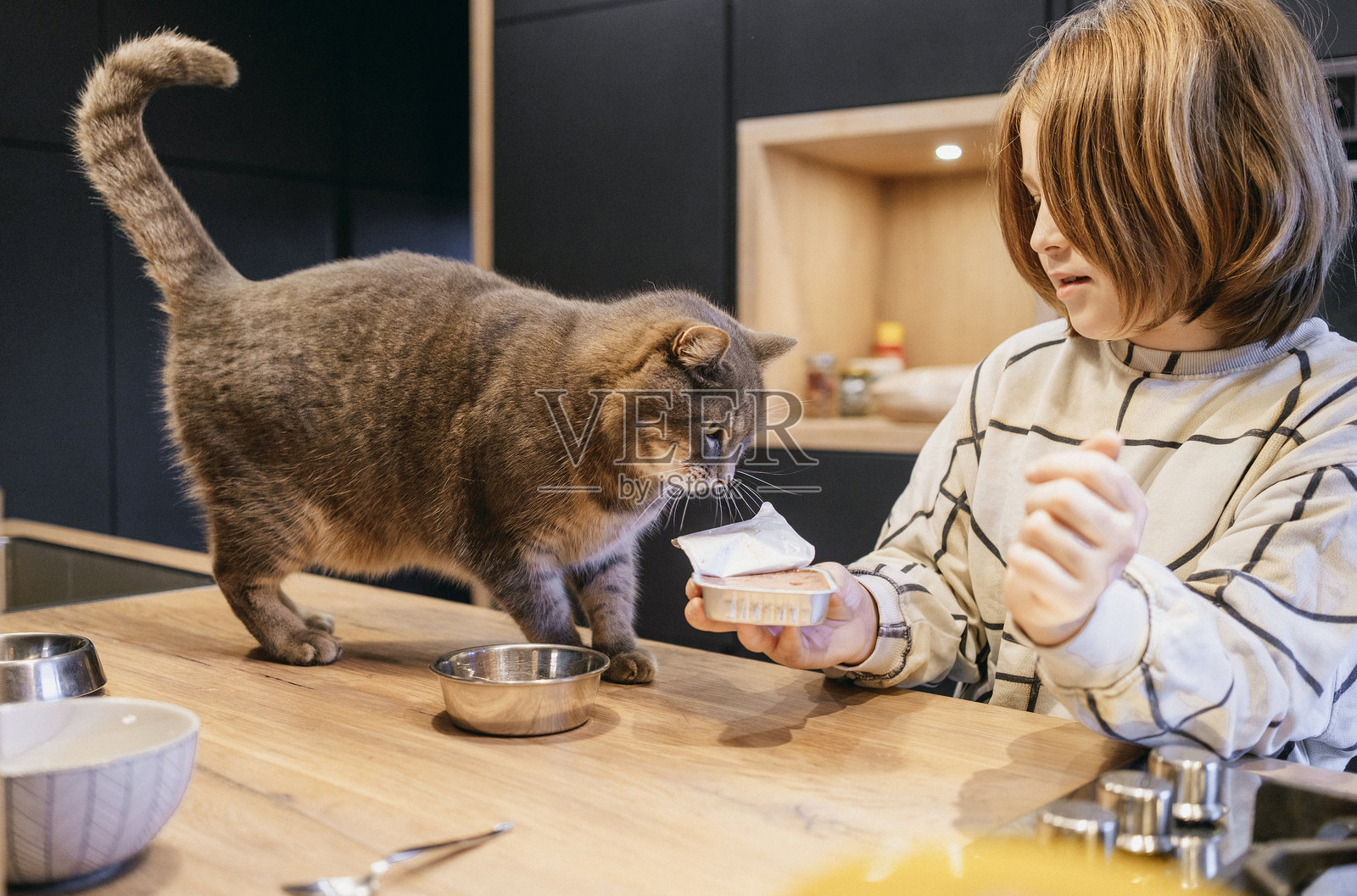 男孩在家喂养家猫照片摄影图片