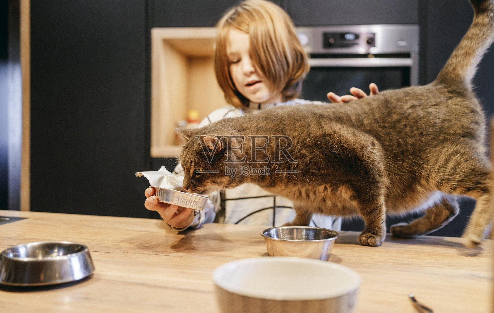 男孩在家喂养家猫照片摄影图片