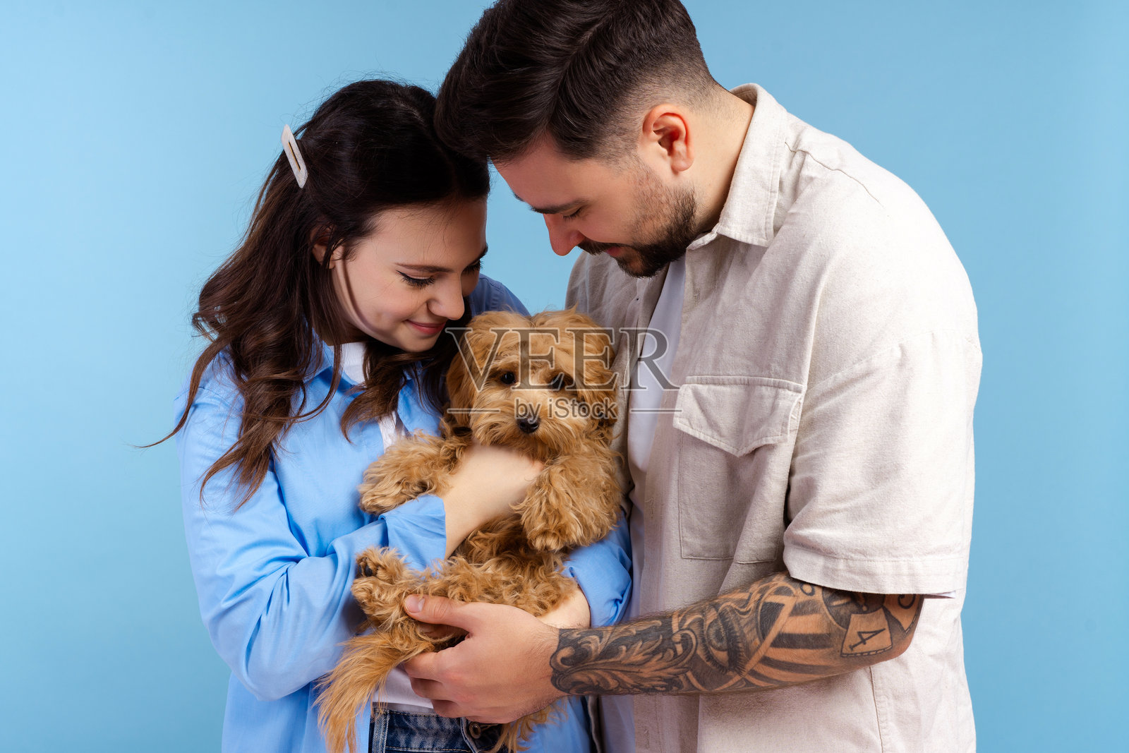 快乐微笑的情侣，帅气的男人和美丽的女人抱着可爱的小狗，拥抱照片摄影图片