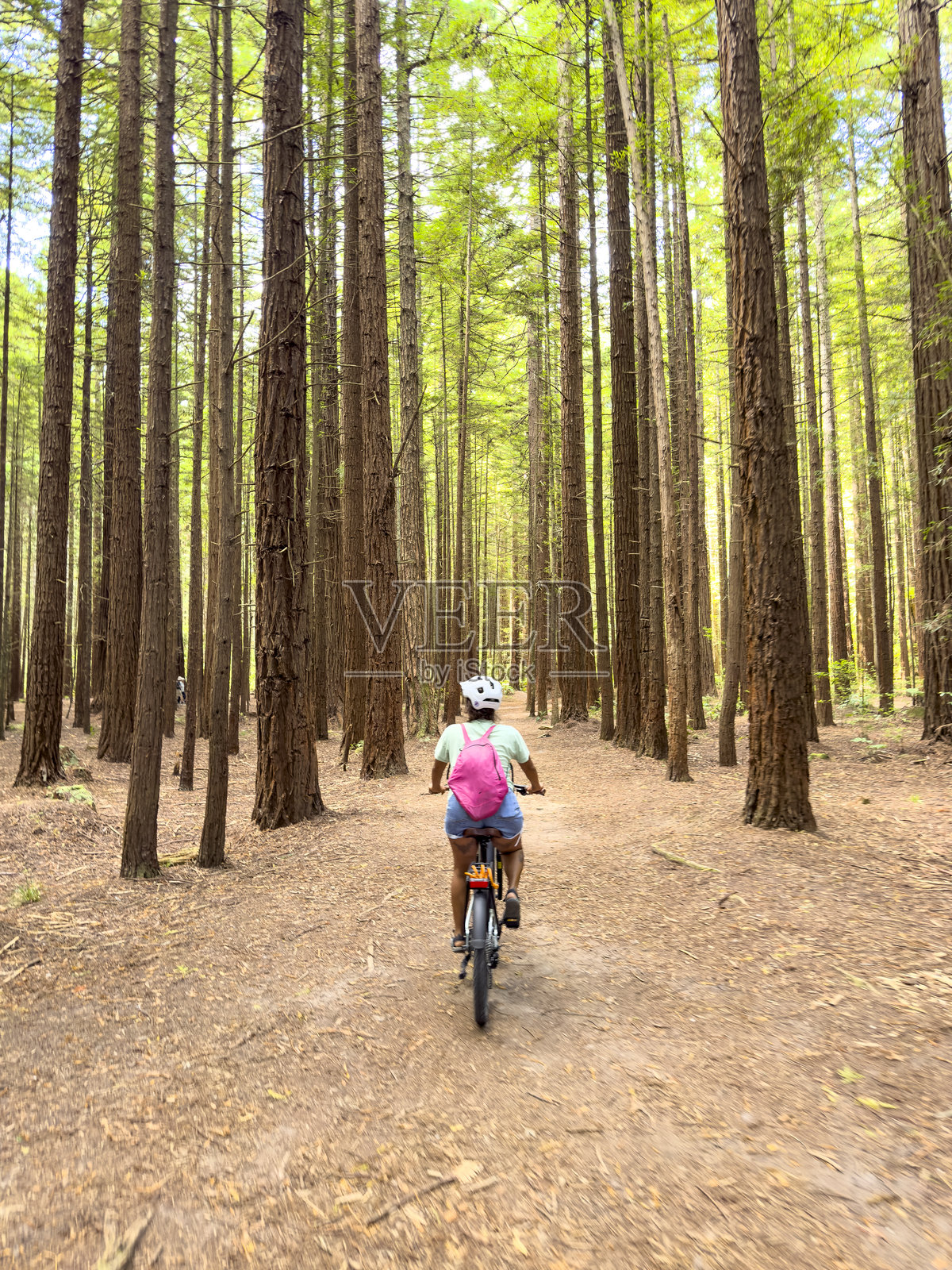 新西兰罗托鲁瓦红木森林中的女性电动自行车骑行者照片摄影图片