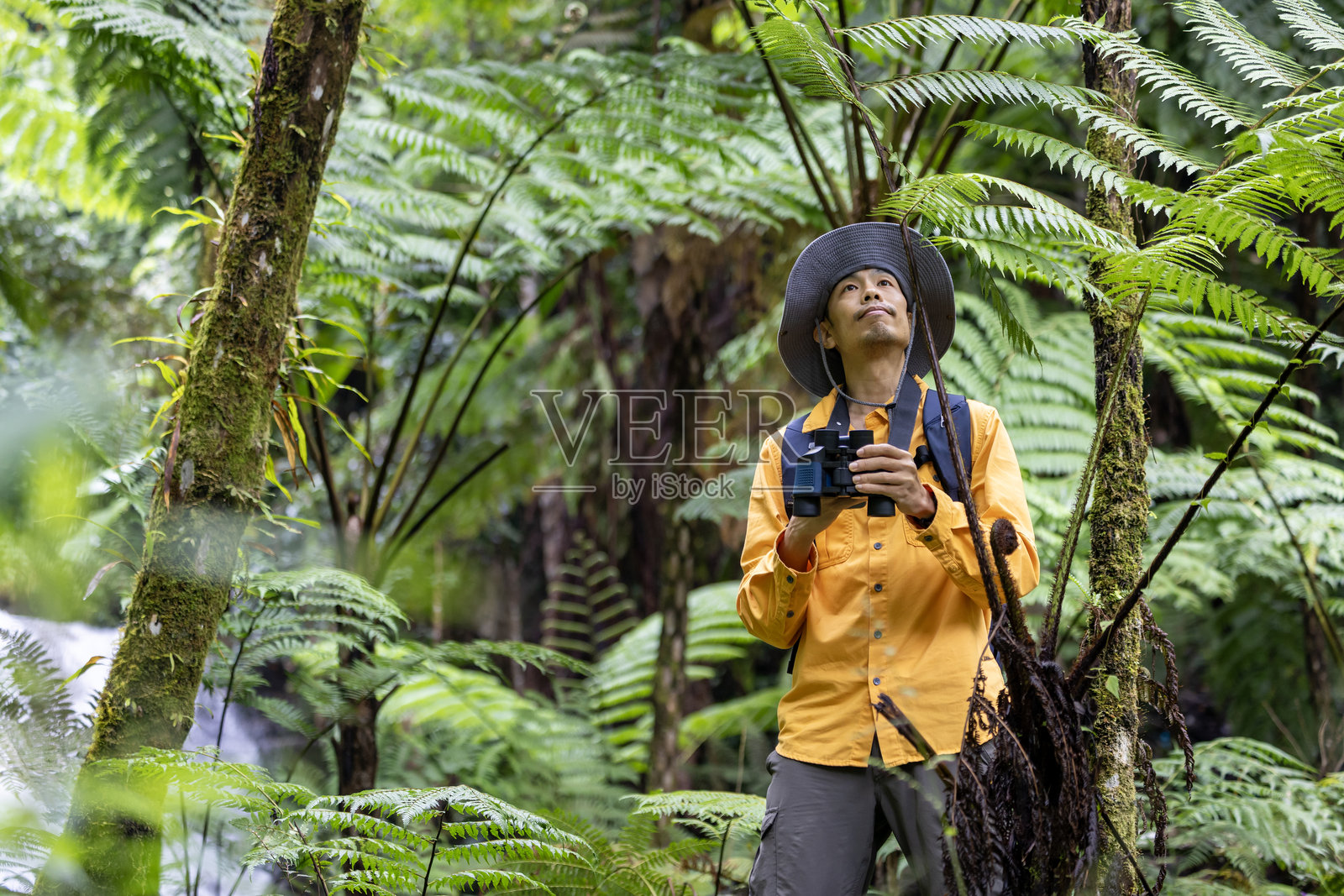 一位亚洲自然主义者在蕨类植物森林中，手持望远镜进行野外考察，探索并发现稀有的生物多样性物种，他也是一位生态学家。照片摄影图片