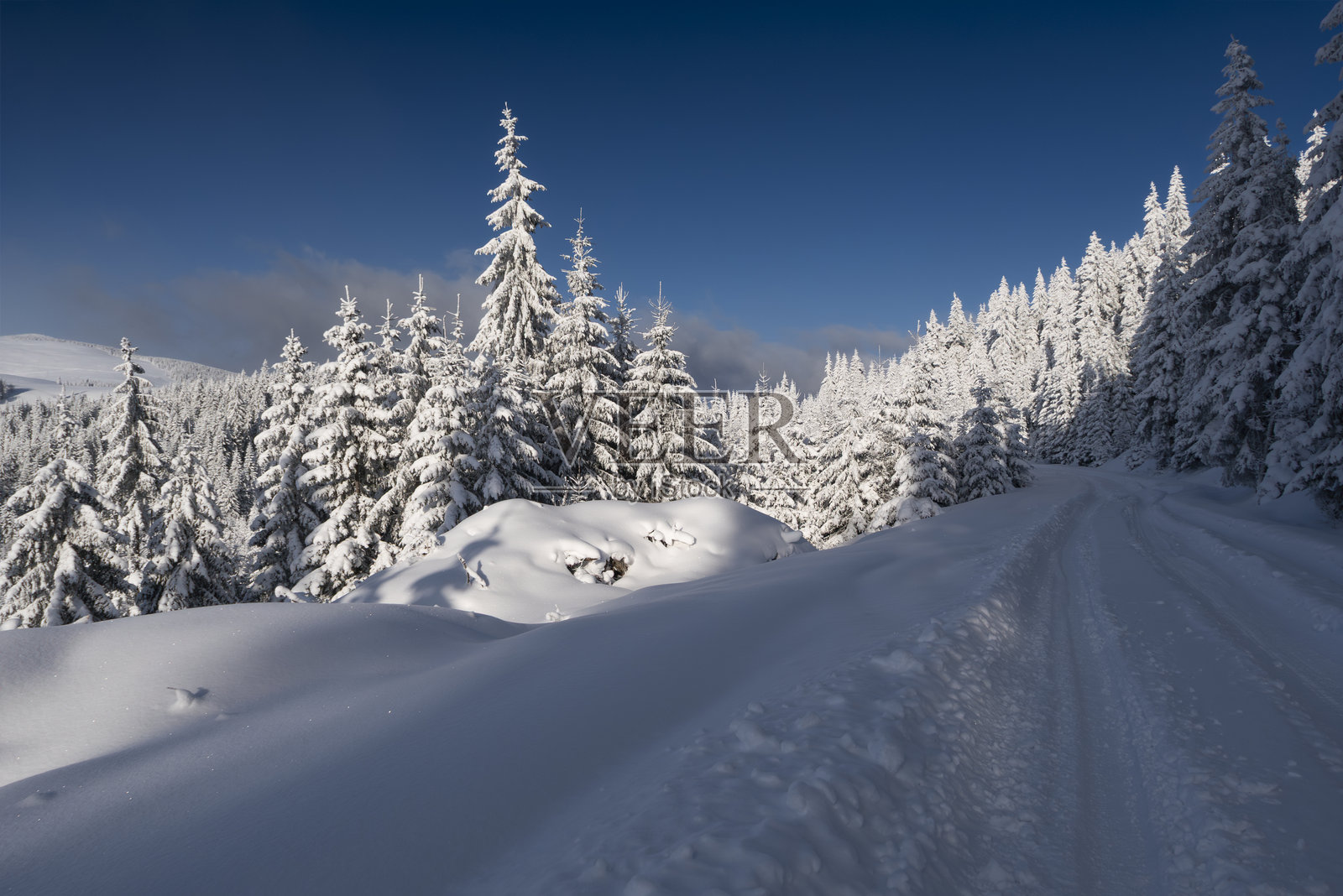冬季仙境中，白雪覆盖的森林公路美景照片摄影图片