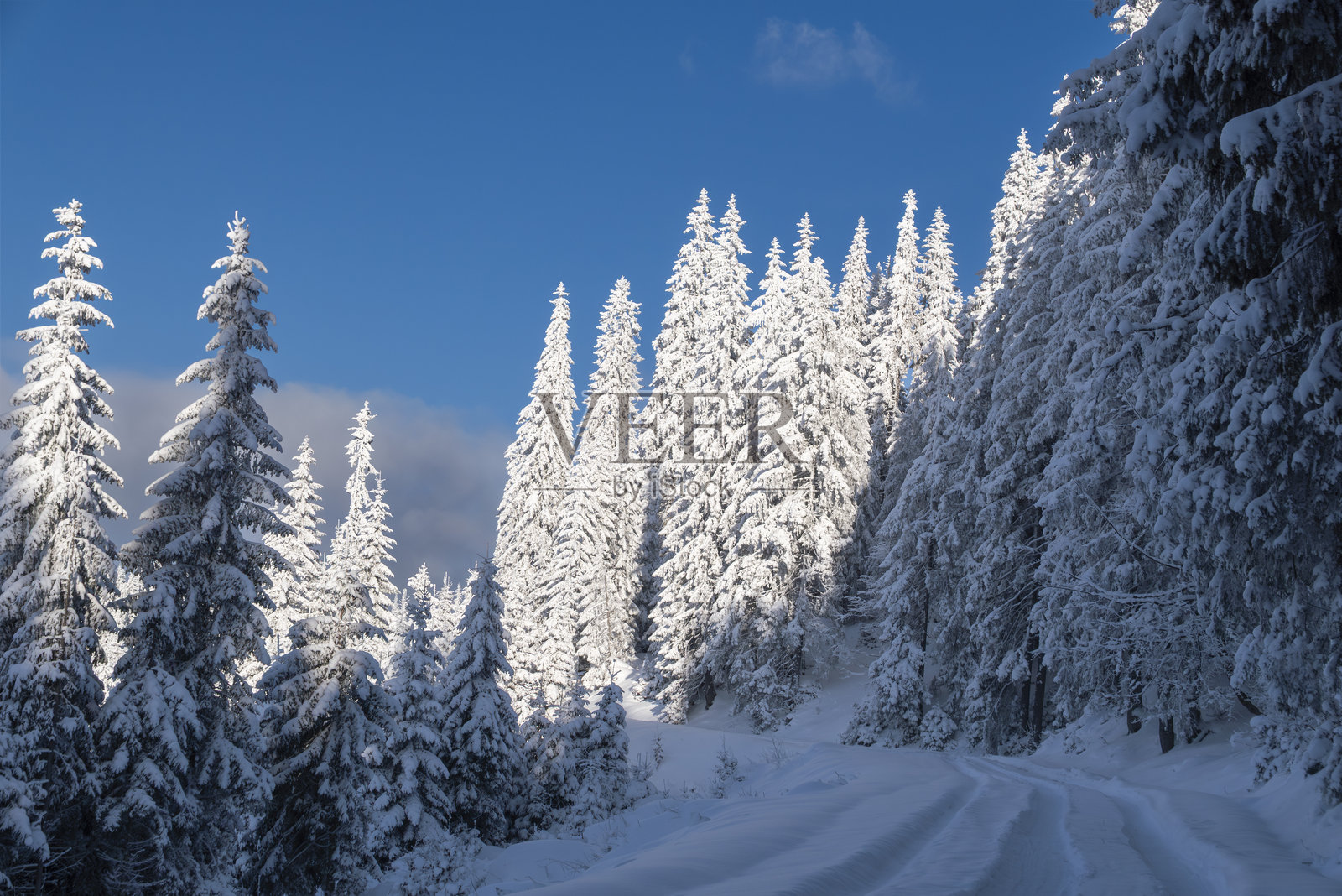 冬季仙境中覆盖着雪的风景森林公路照片摄影图片