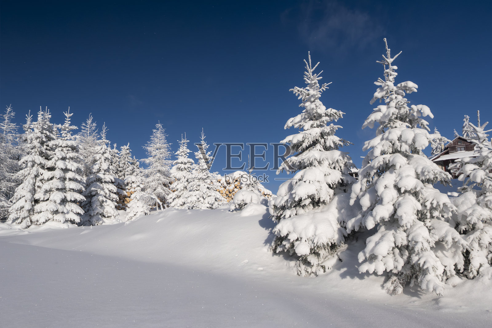 晴朗蓝天下，白雪皑皑的山峰笼罩着冬季森林照片摄影图片