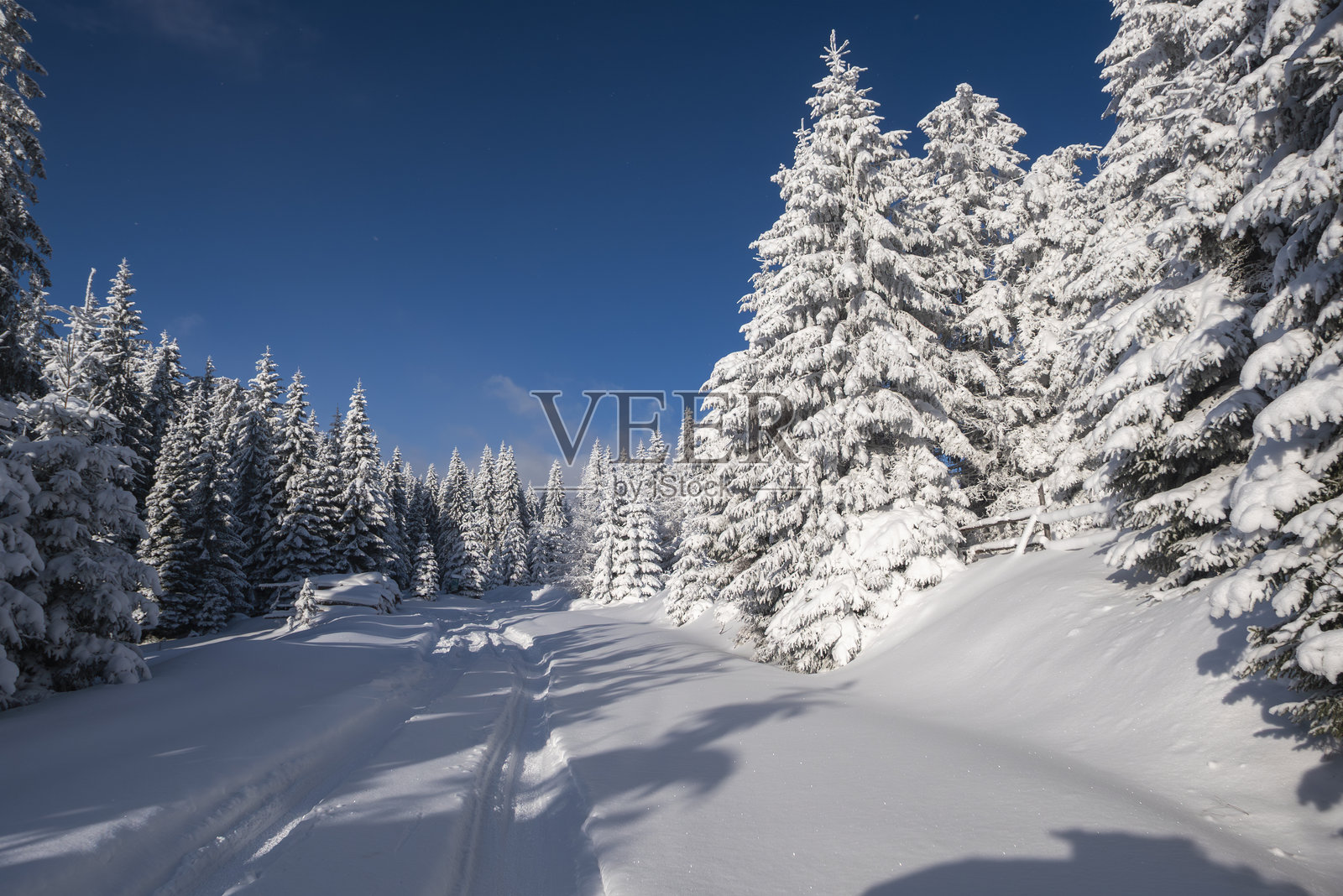 冬日仙境中，白雪覆盖的森林道路风光照片摄影图片