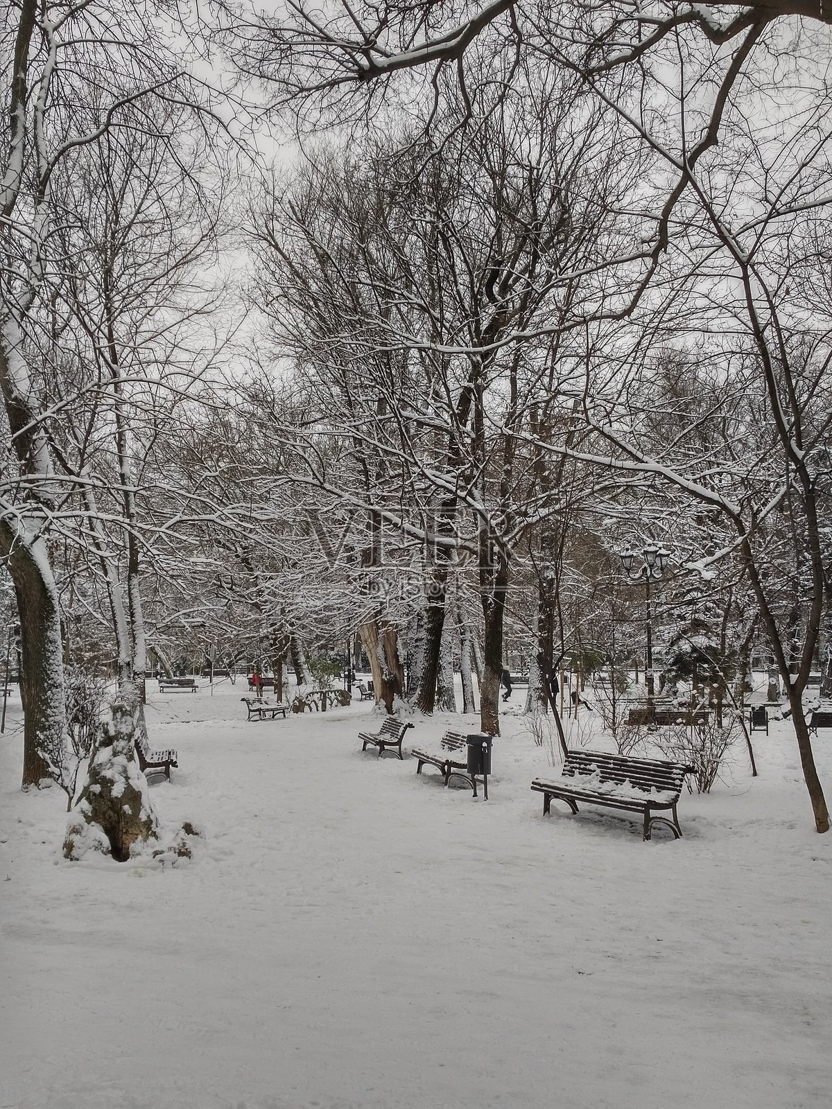 雪地公园景象，光秃的树木和长椅在宁静的冬日天空中照片摄影图片