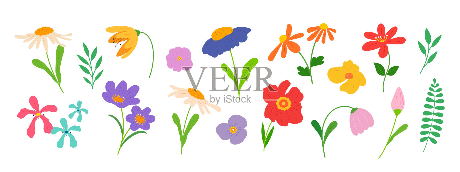 充满活力的春季花卉和植物矢量集插画图片素材