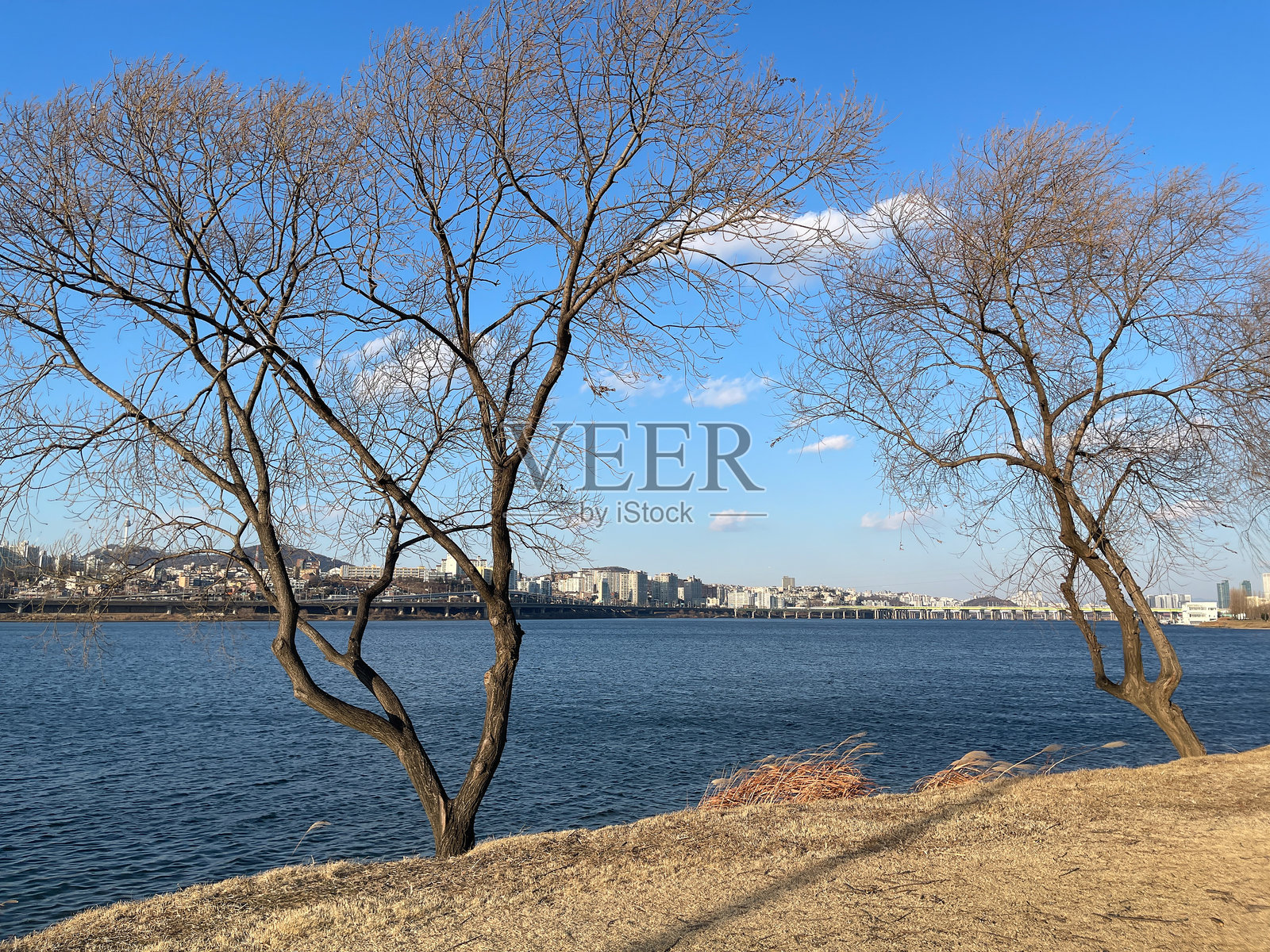 周日下午，在首尔汉江公园散步照片摄影图片