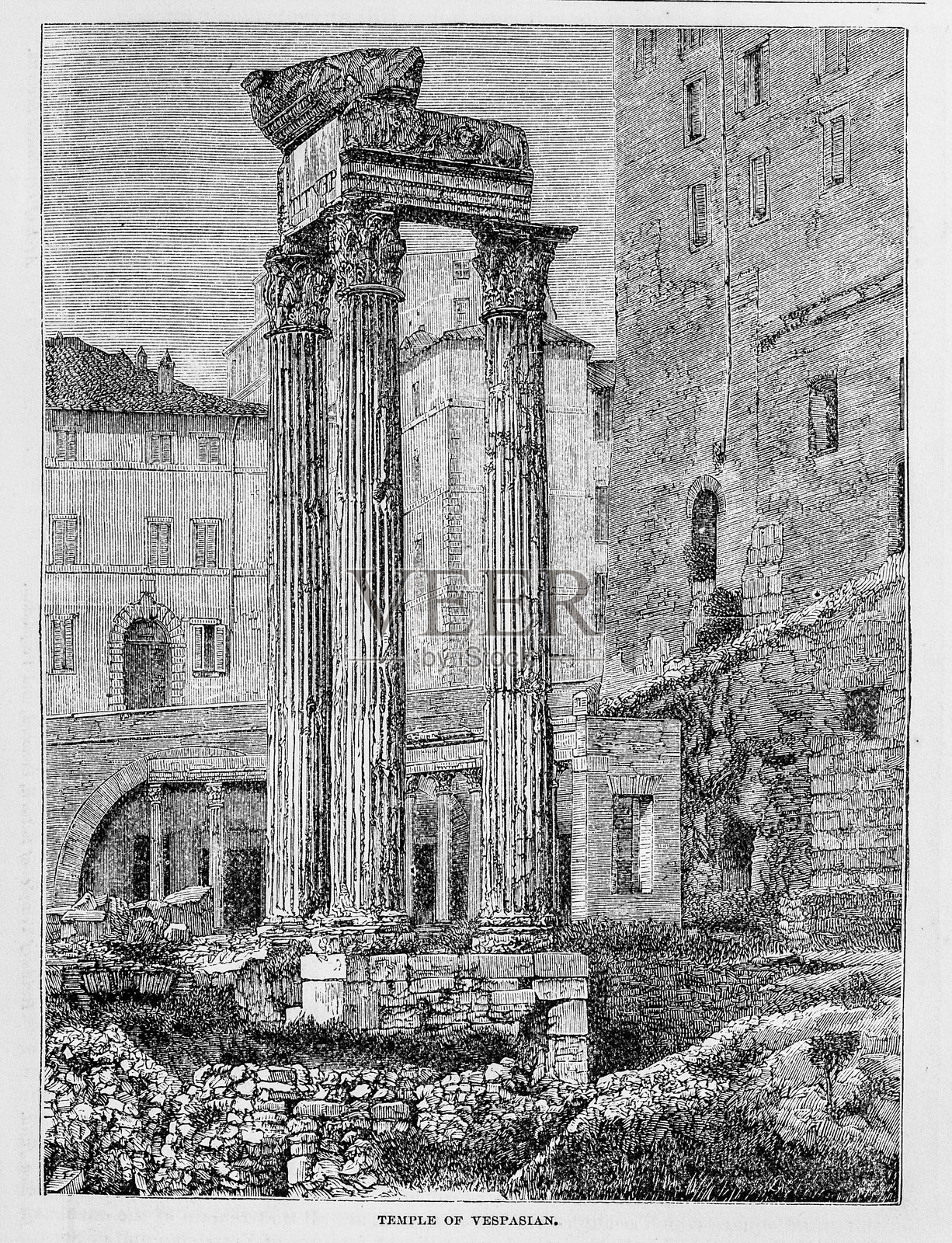 韦斯帕芗神庙插画图片素材