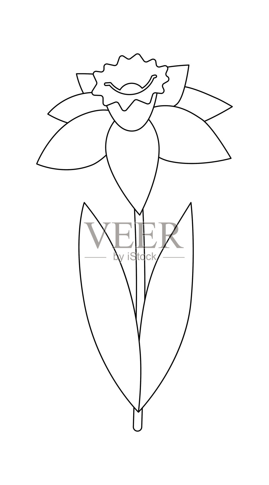 孤立在白色背景上的水仙花。轮廓图。插画图片素材