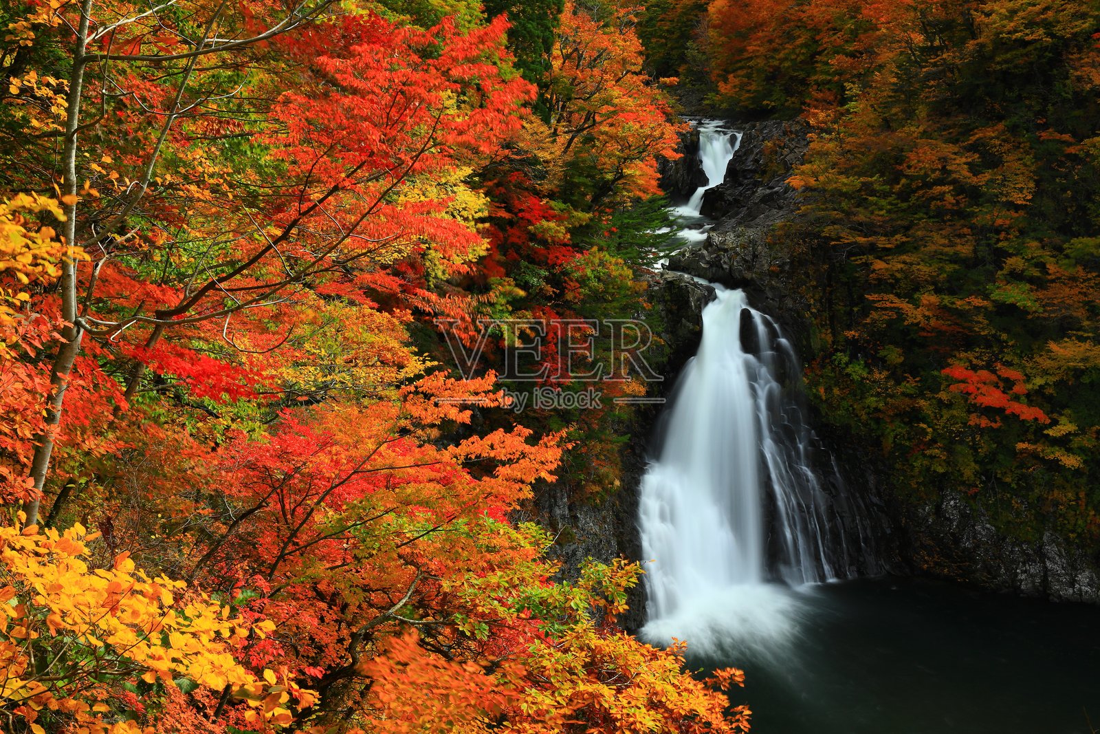 秋叶风光照片摄影图片