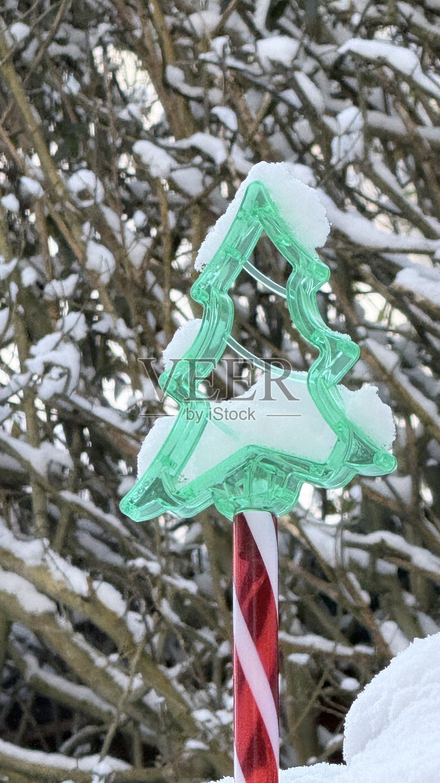 霜照片摄影图片