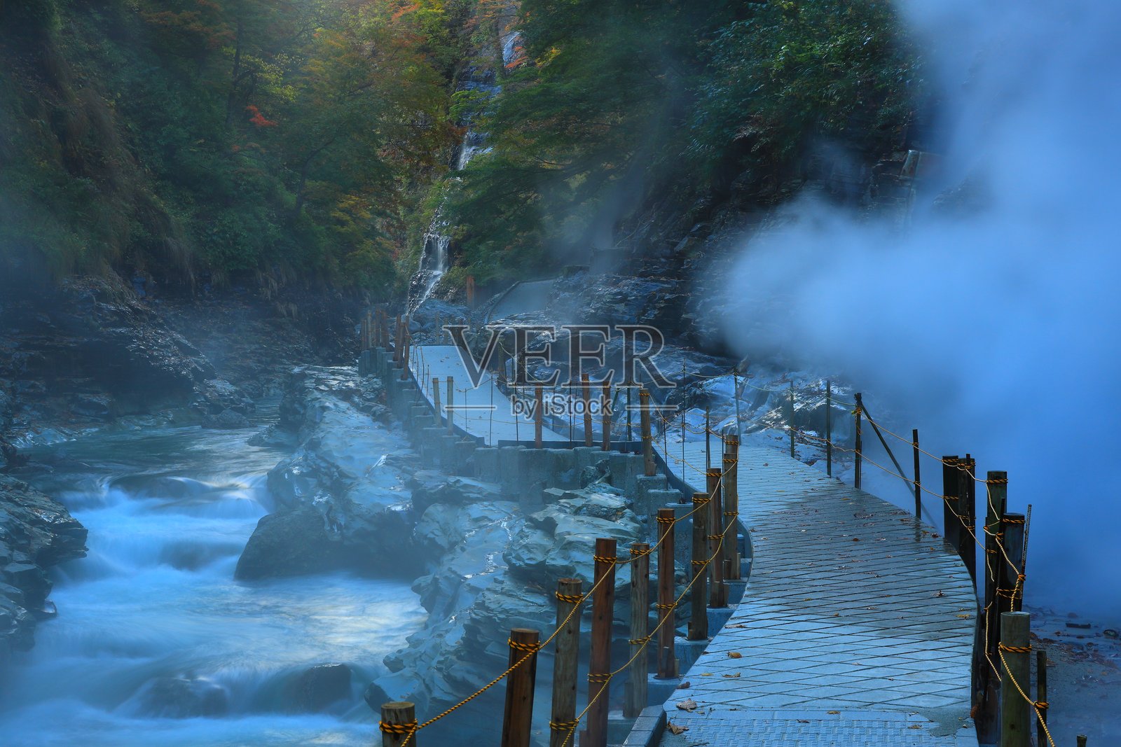 秋叶景观照片摄影图片