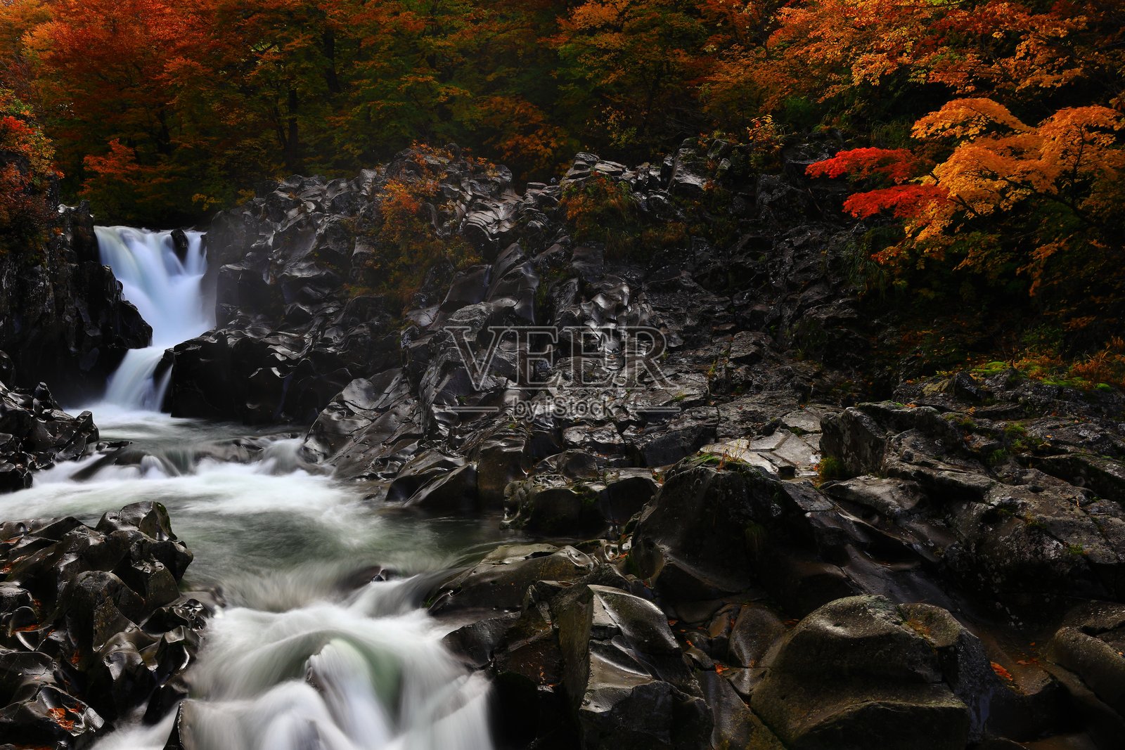秋天的落叶风景照片摄影图片