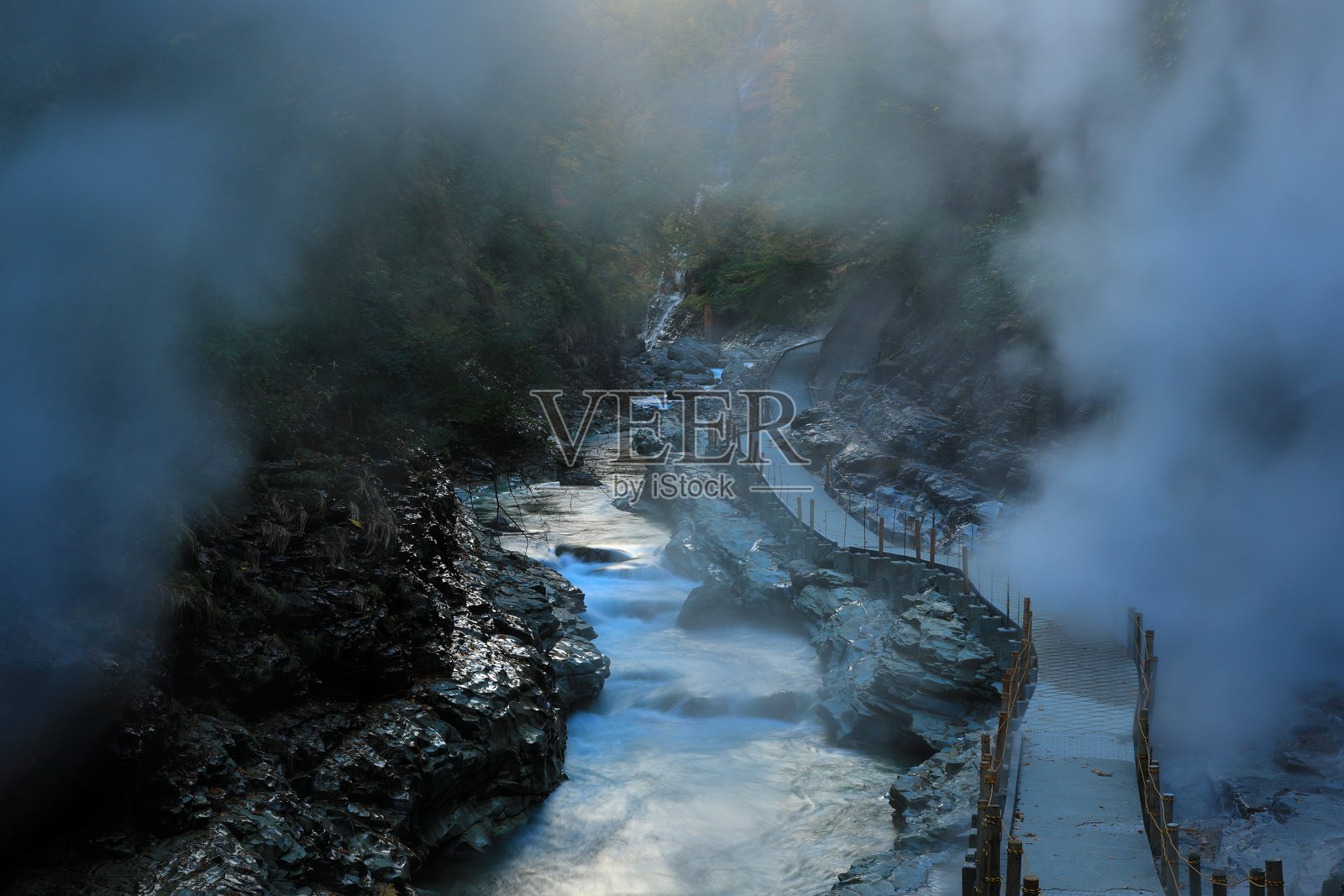 秋叶风景照片摄影图片