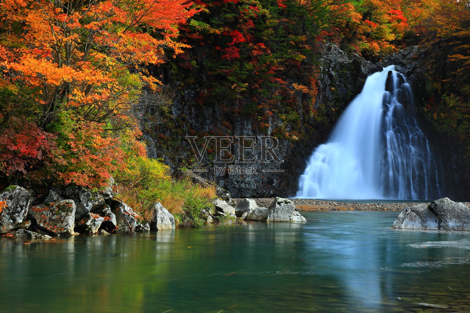 秋叶风光照片摄影图片