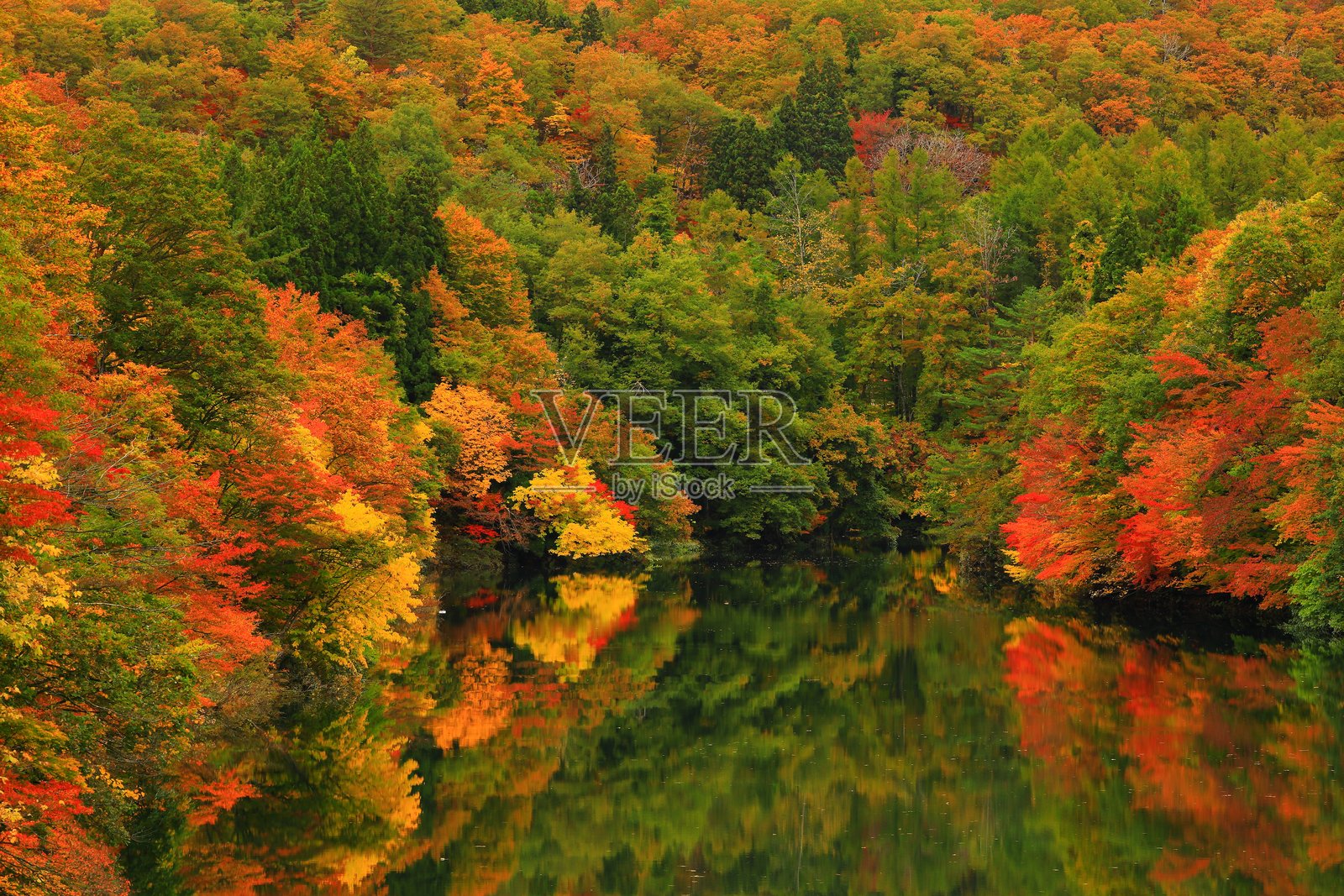 秋叶风光照片摄影图片
