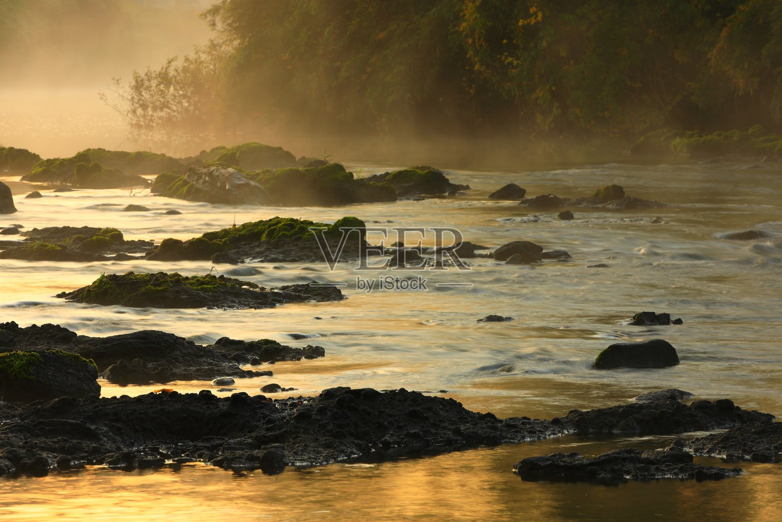 秋叶景色照片摄影图片