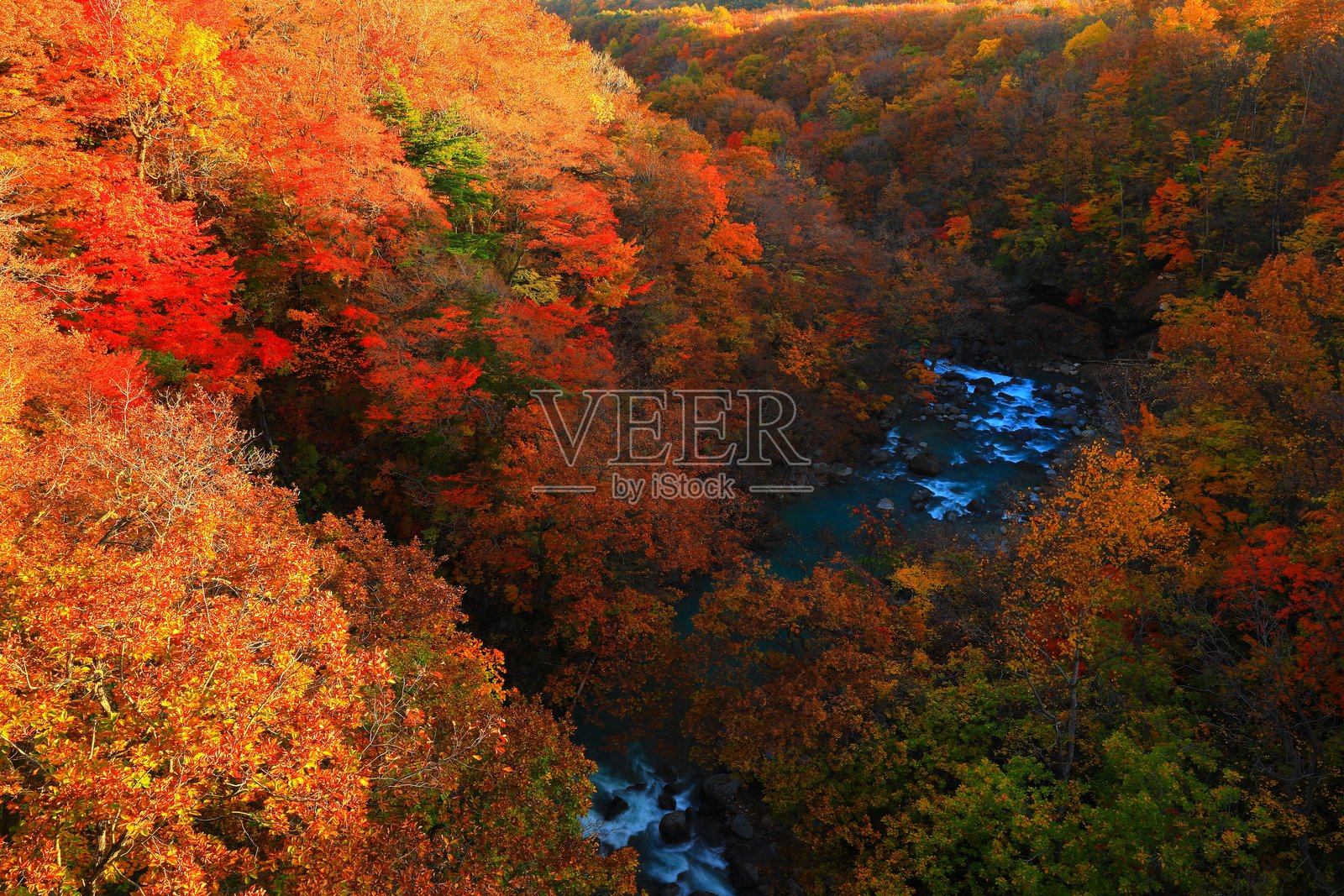 秋叶风光照片摄影图片
