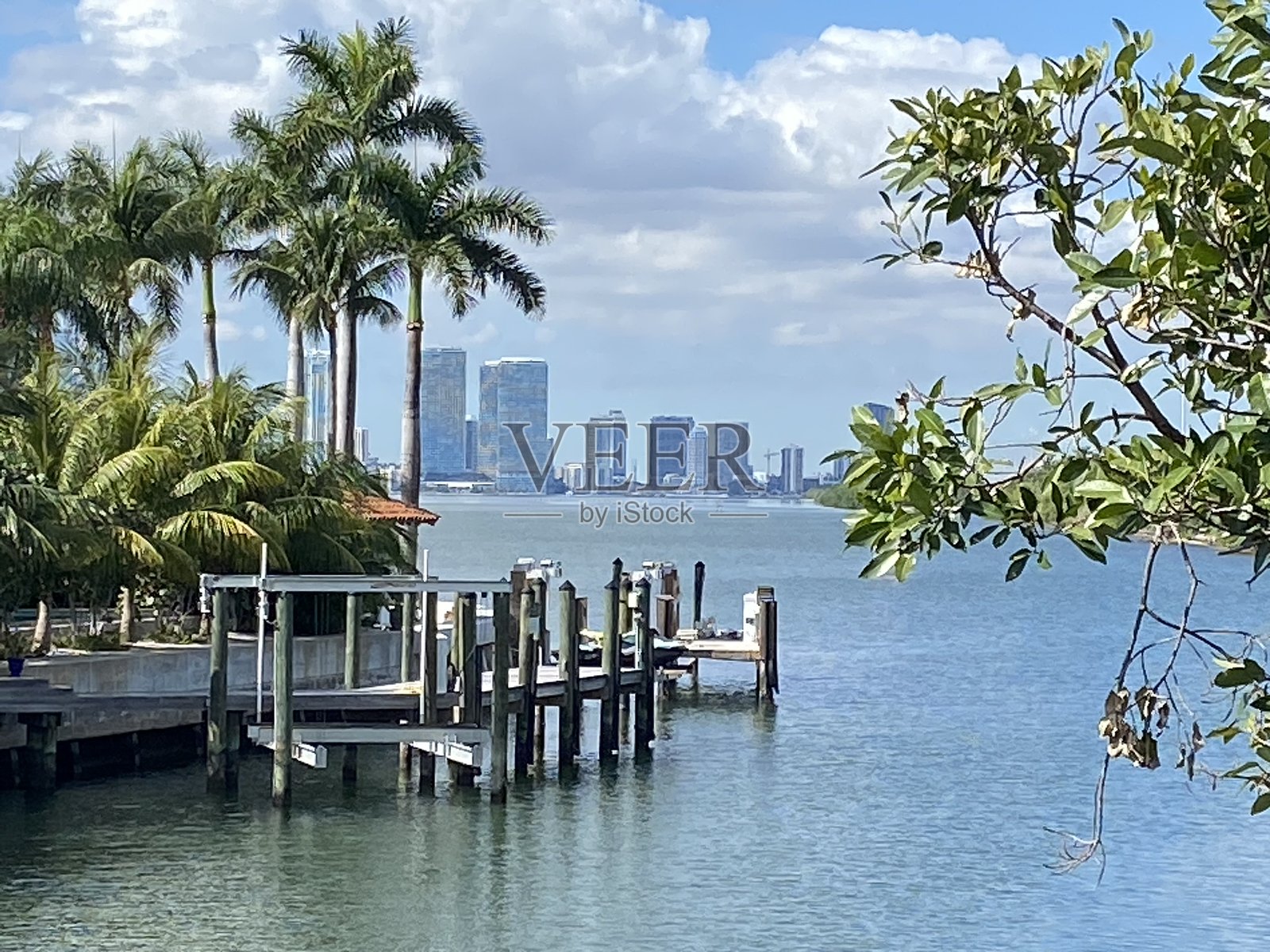 迈阿密城市景观照片摄影图片