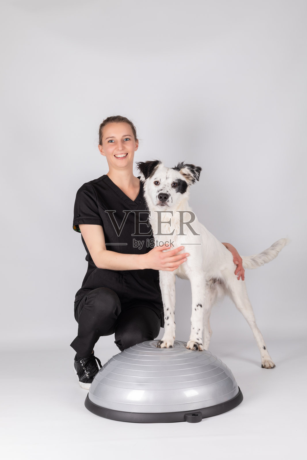 边境牧羊犬站立在圆形平衡平台上，旁边是兽医理疗师照片摄影图片