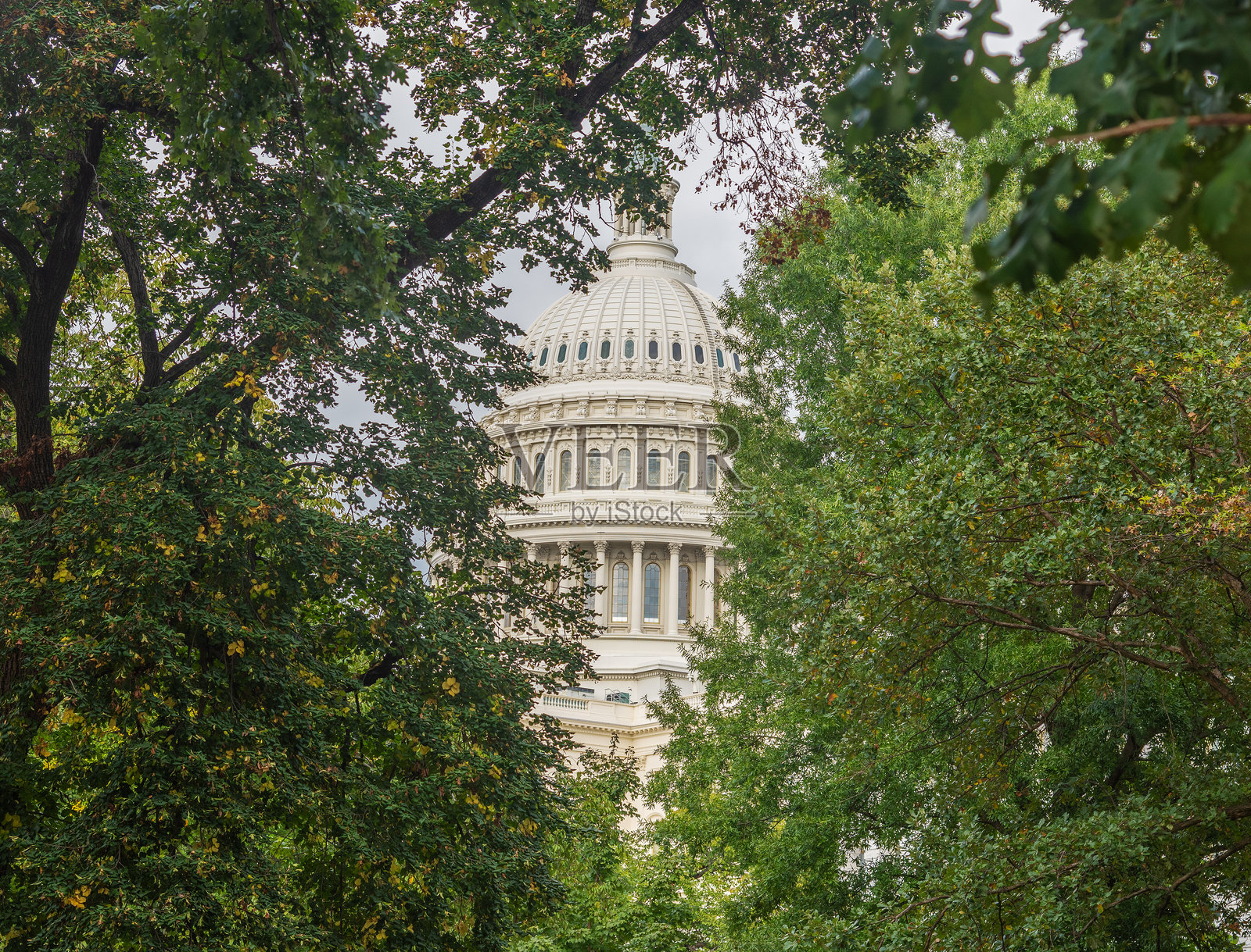 透过绿树看到的美国国会大厦，世界闻名照片摄影图片