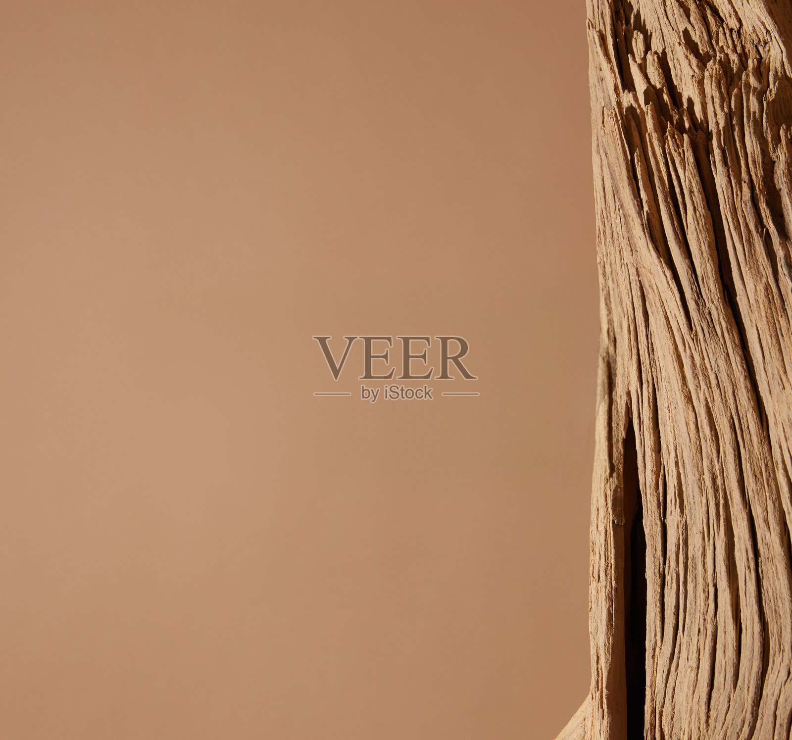 自然光下的自然物体照片摄影图片