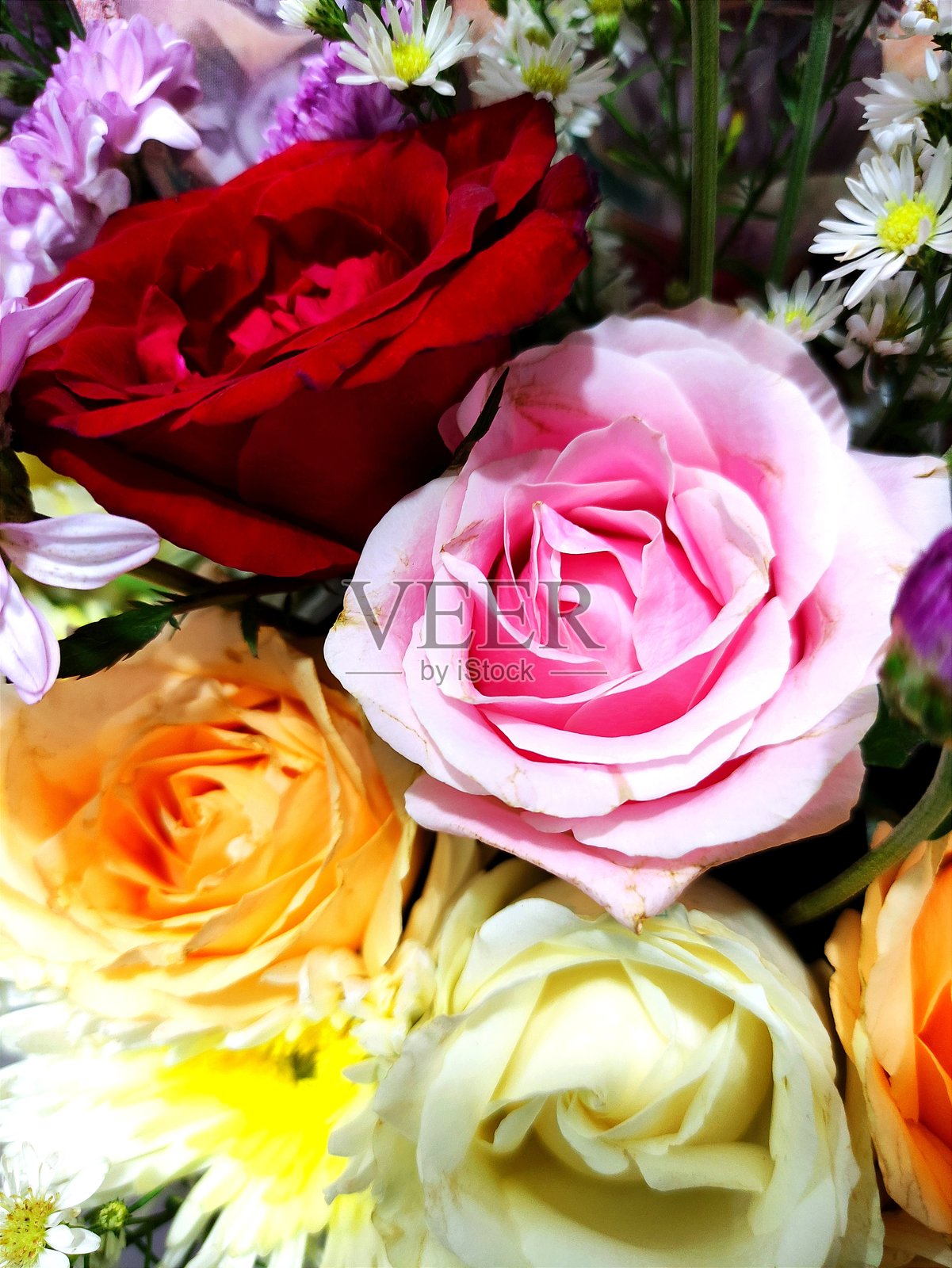 特写一束由色彩鲜艳的新鲜玫瑰组成的花束照片摄影图片