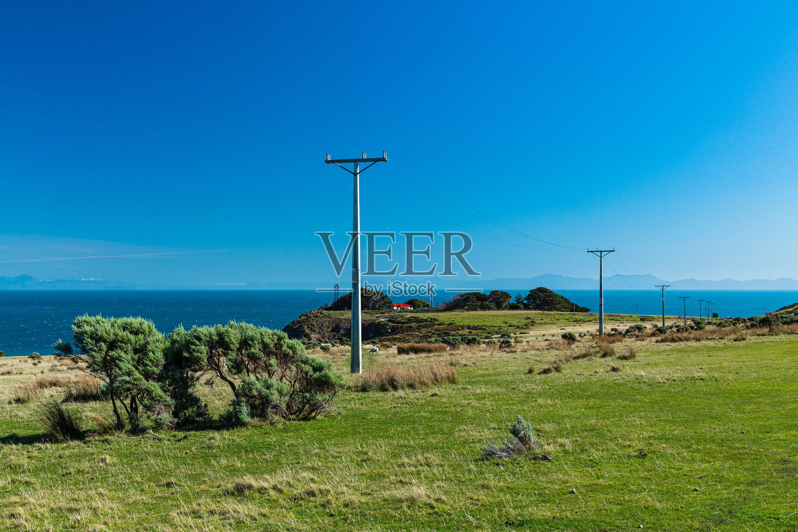 新西兰惠灵顿 Wainuiomata 东港地区公园的风景照片摄影图片