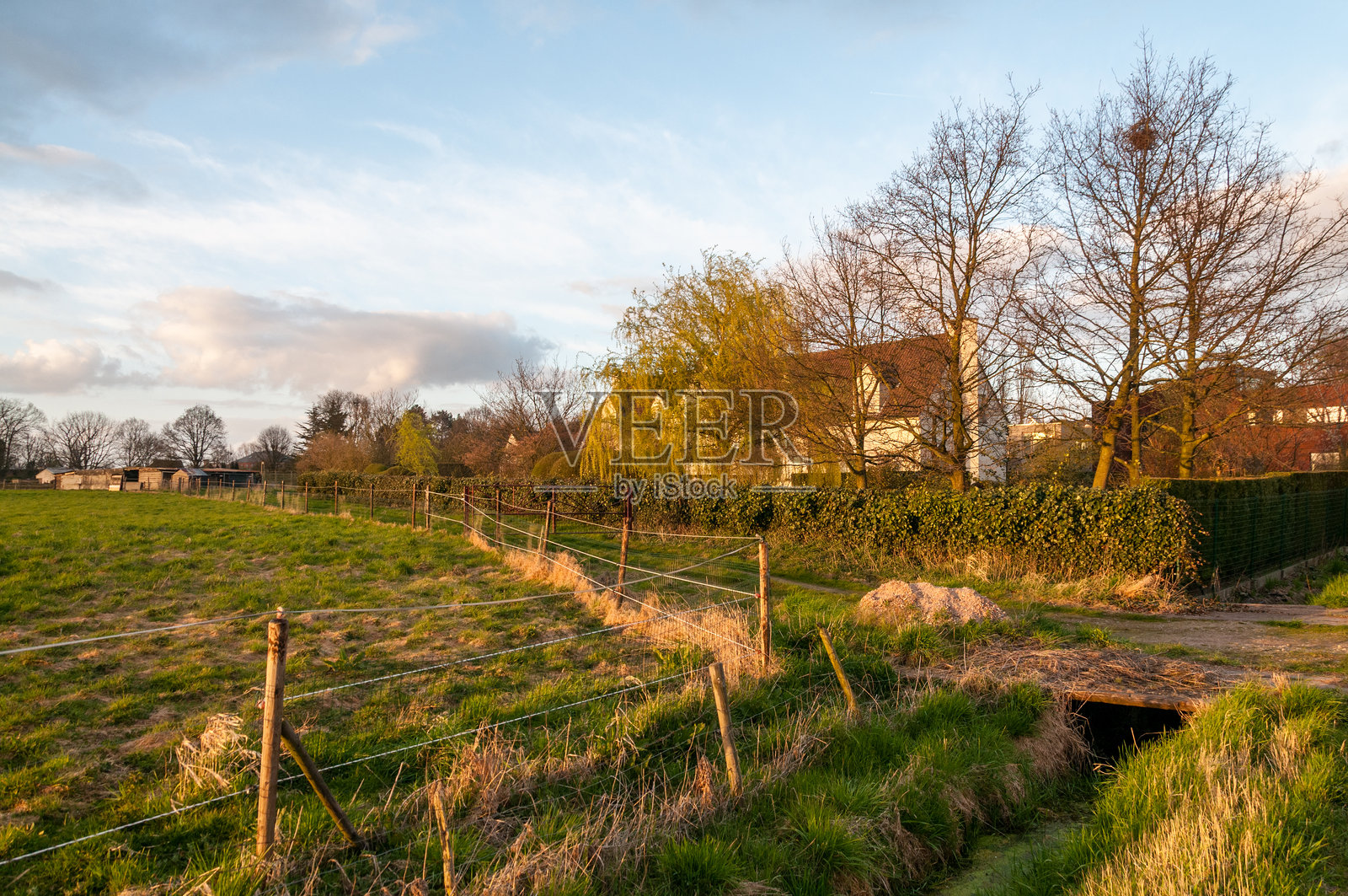 东法兰德斯的自然风光照片摄影图片