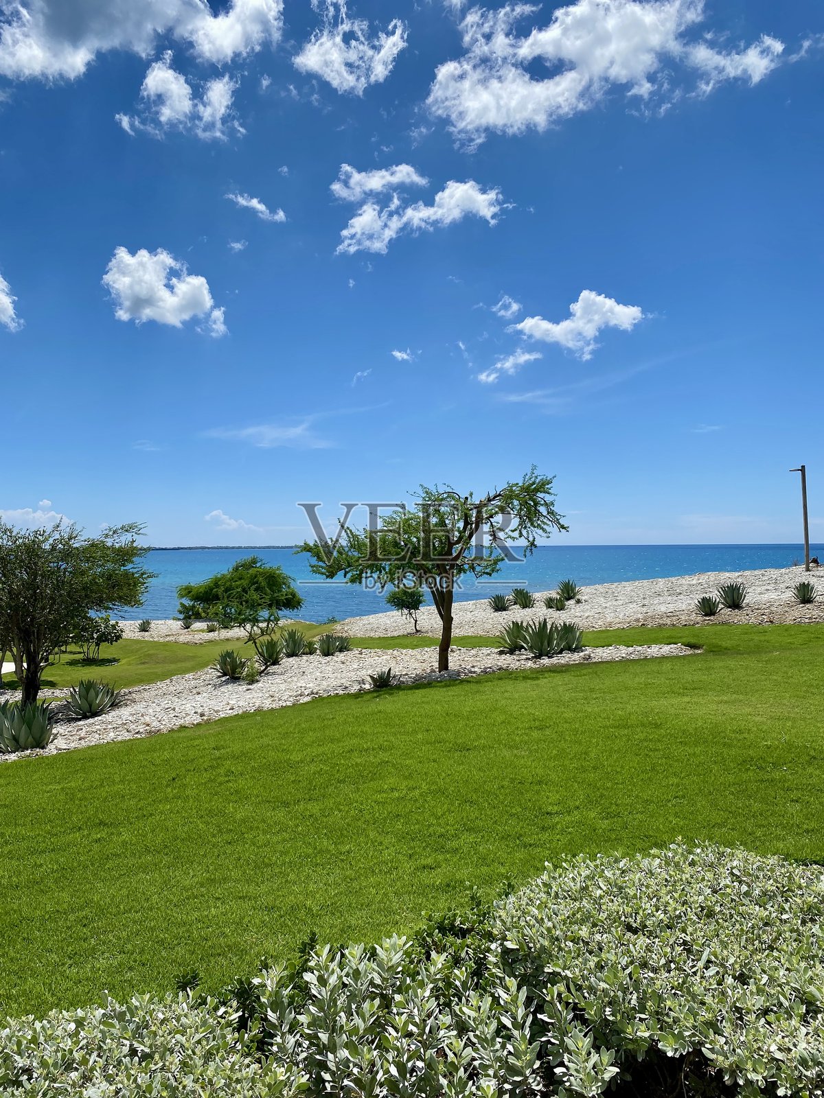 巴尼沙丘自然保护区的沙漠景观照片摄影图片